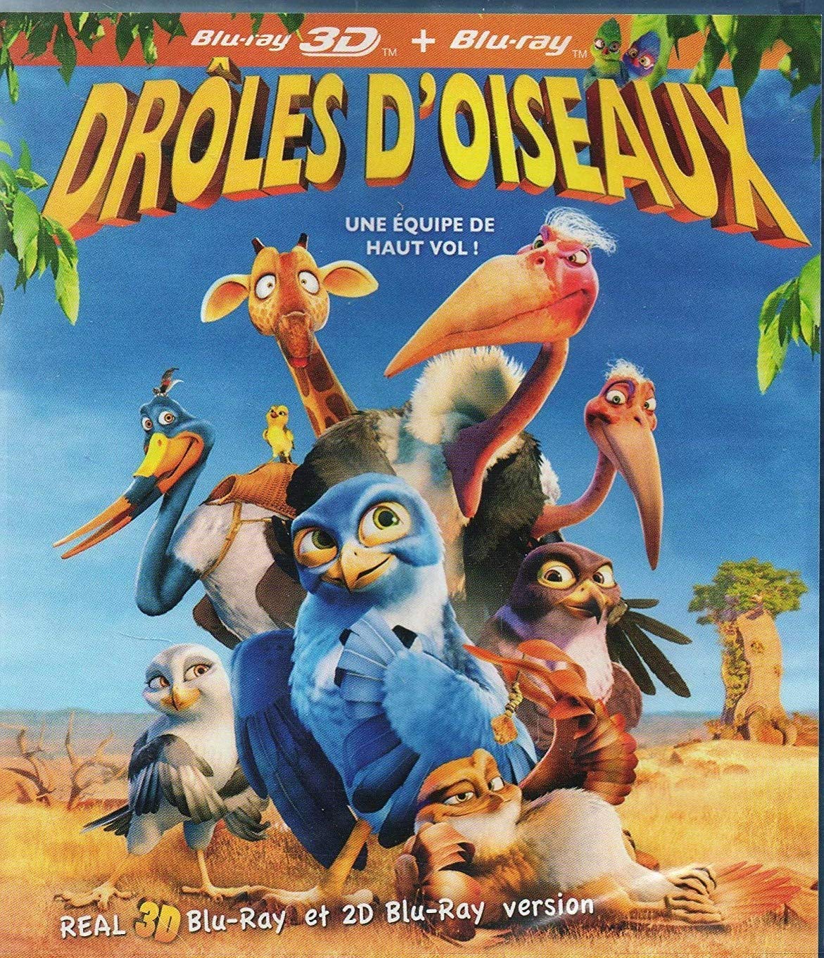 DVD DROLES D OISEAUX 8713045237929