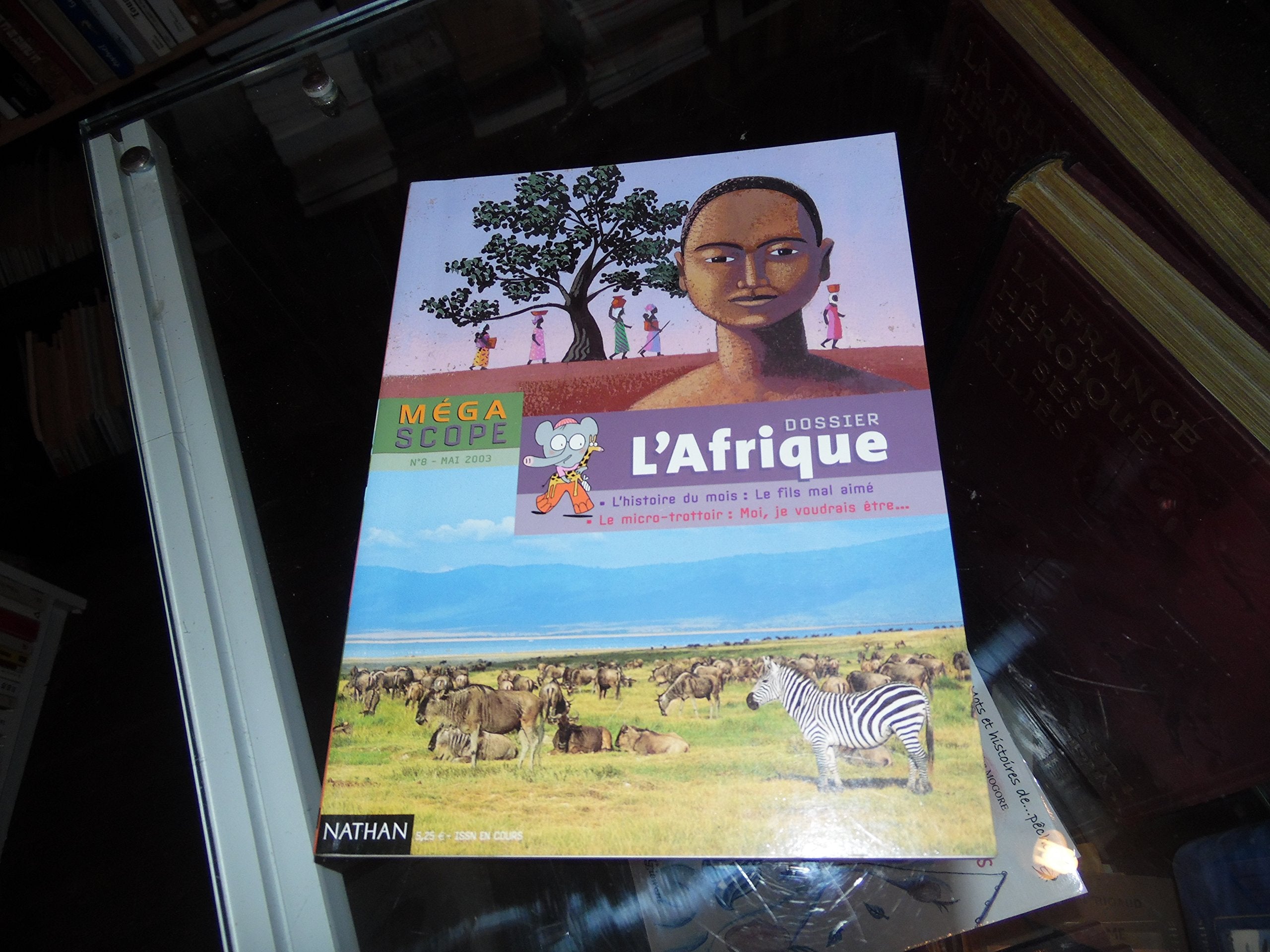 L'afrique 9782092091180
