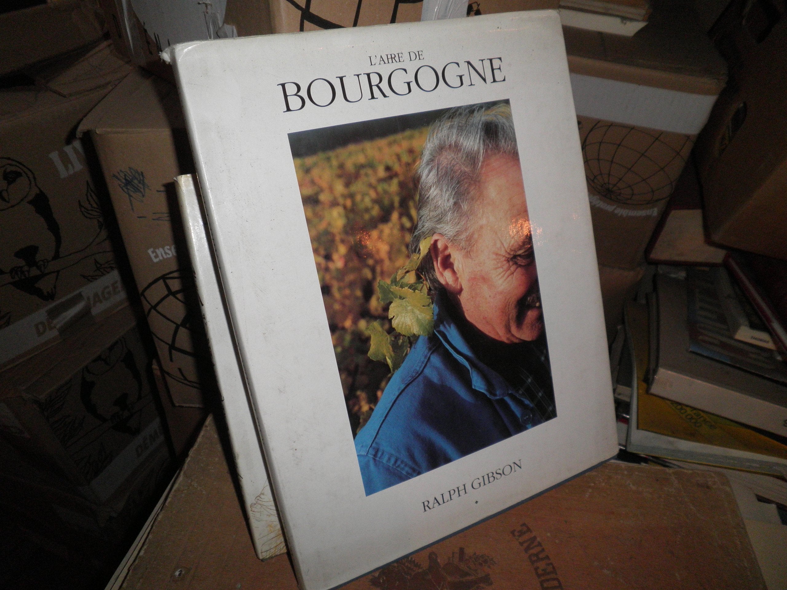 L'aire de Bourgogne 9782910684013