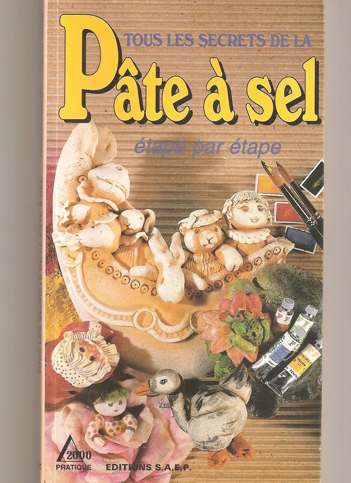 Tous les secrets de la pâte à sel: Étape par étape 9782737230547