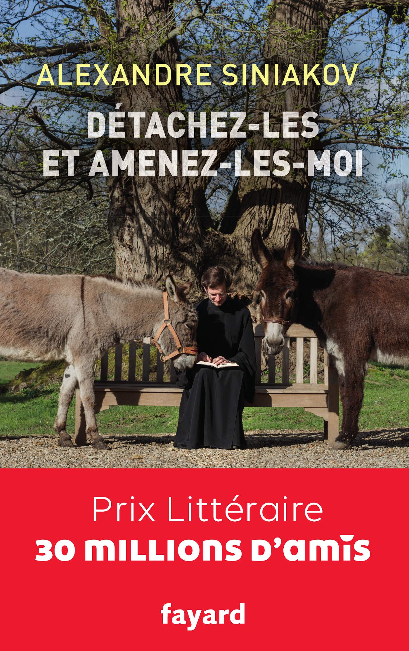 Détachez-les et amenez-les-moi ! 9782213712475