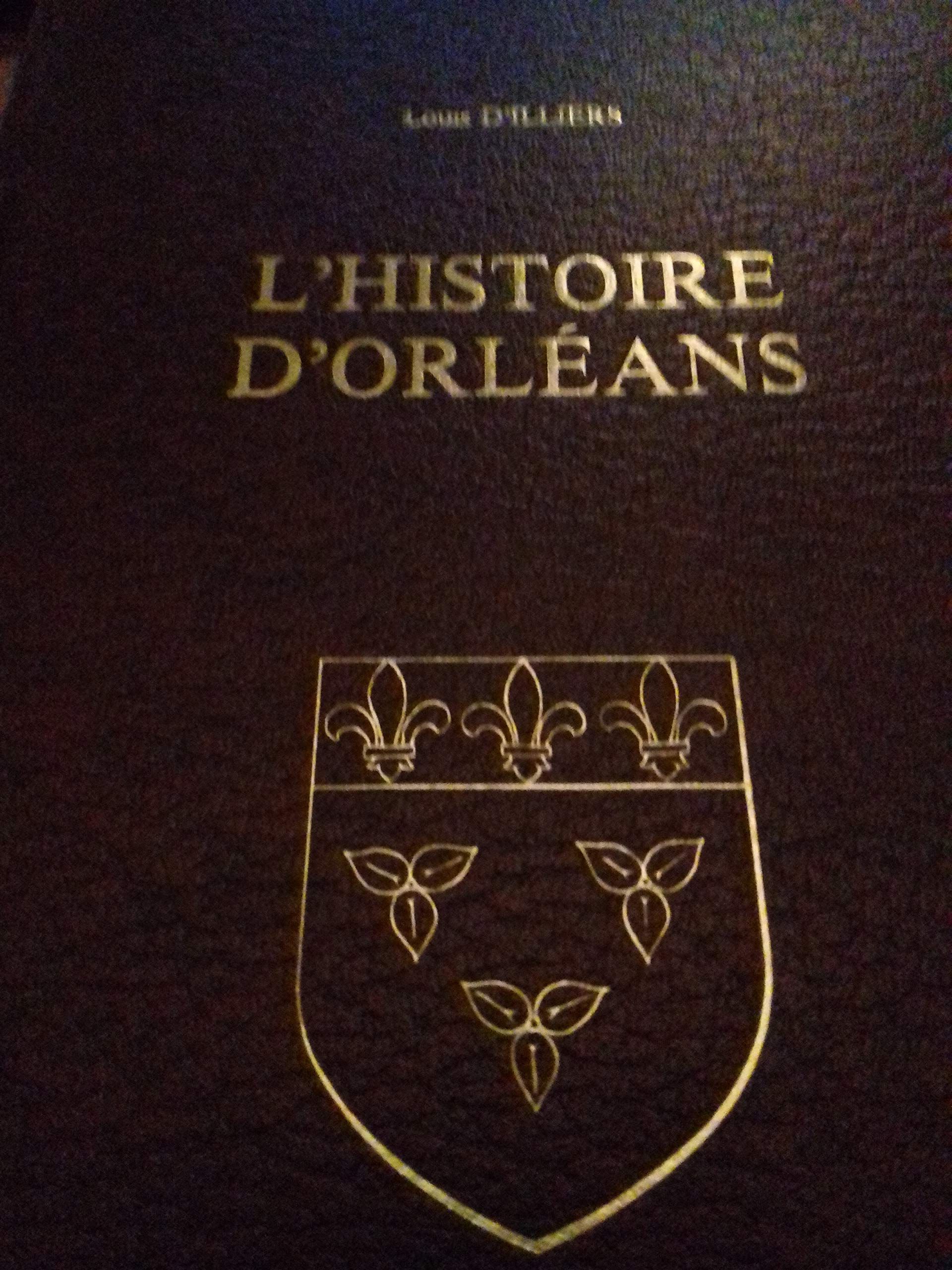 Histoire d'orleans 9782734804406