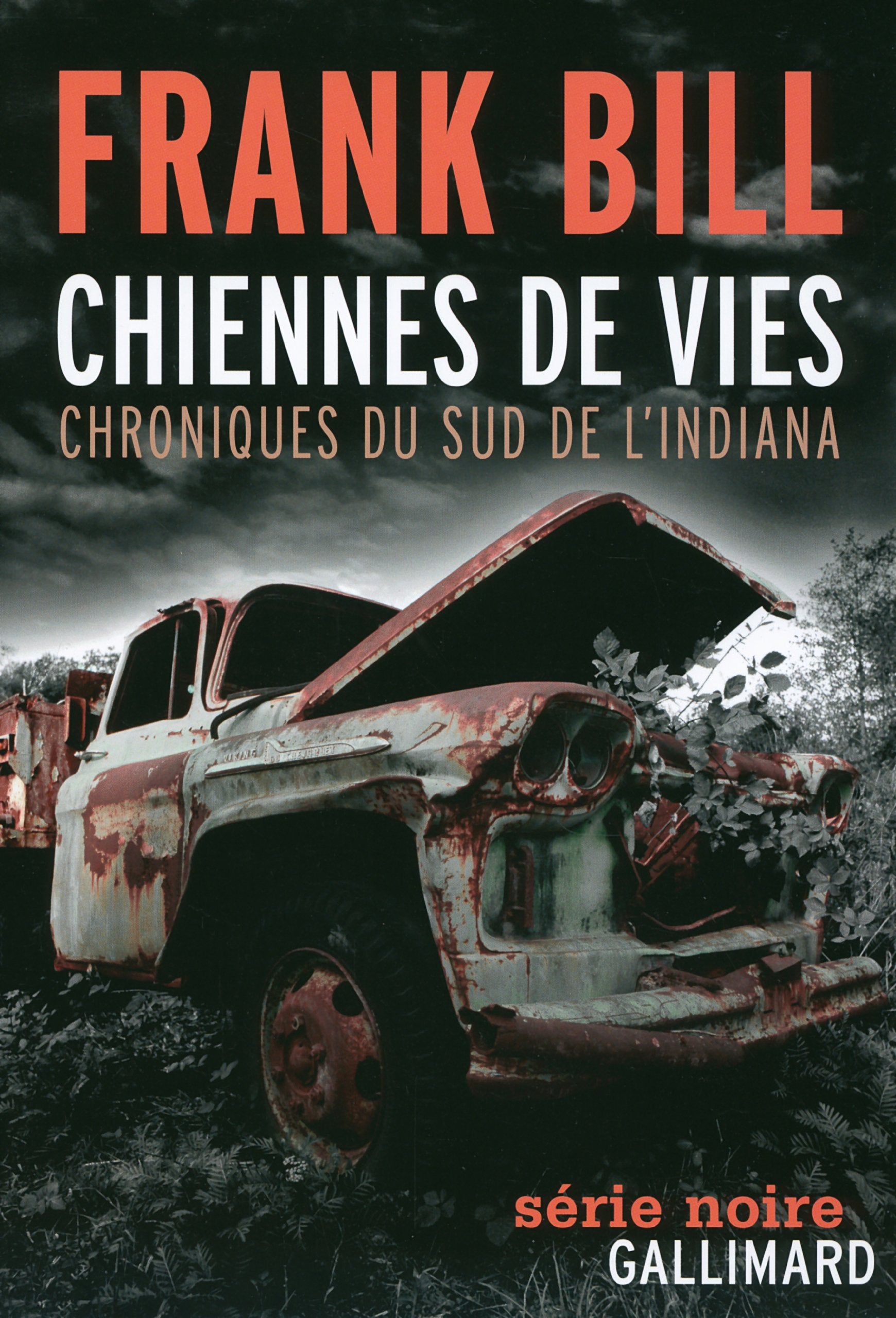 Chiennes de vies: Chroniques du sud de l’Indiana 9782070135356