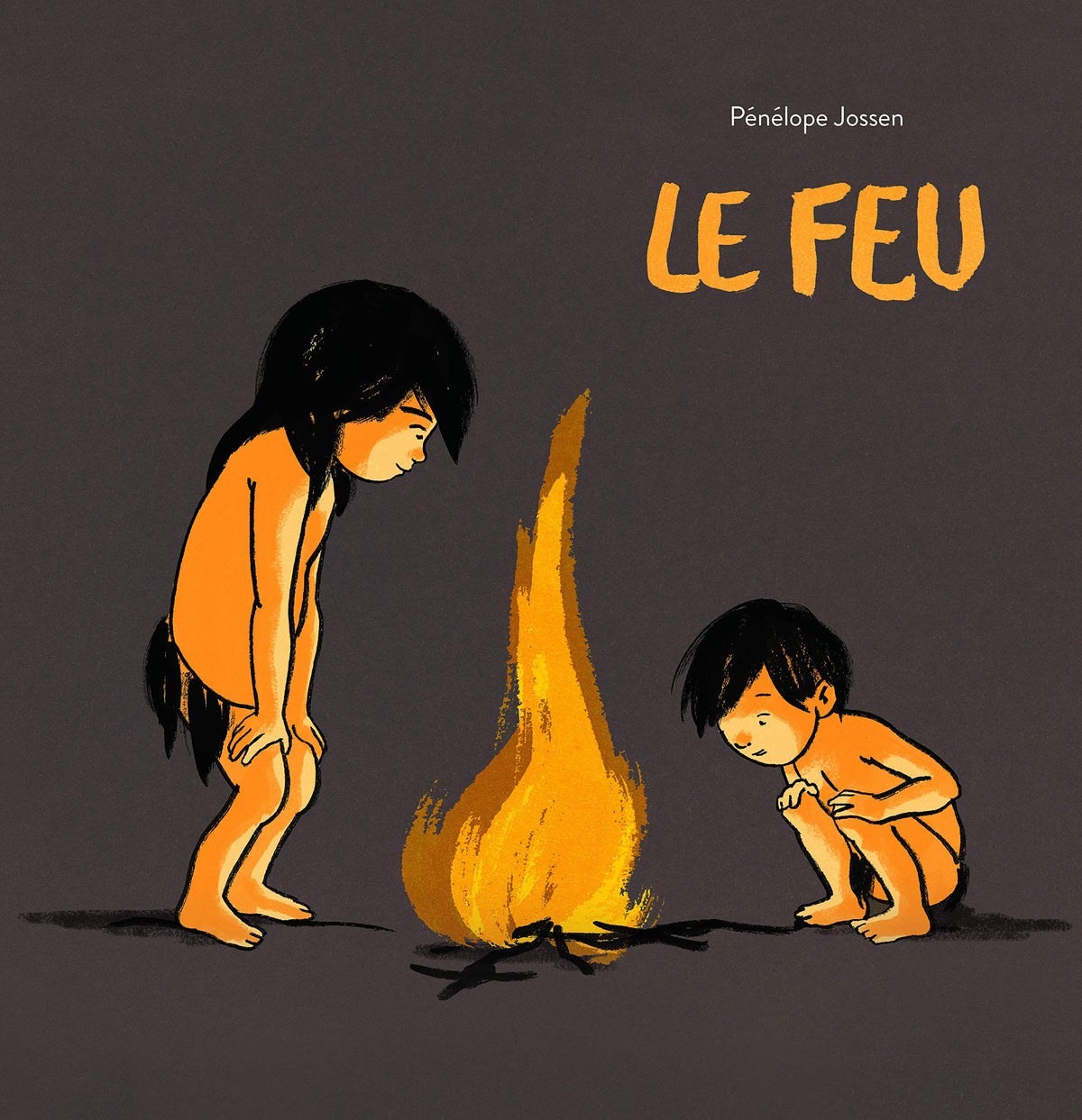 Le feu 9782211306706