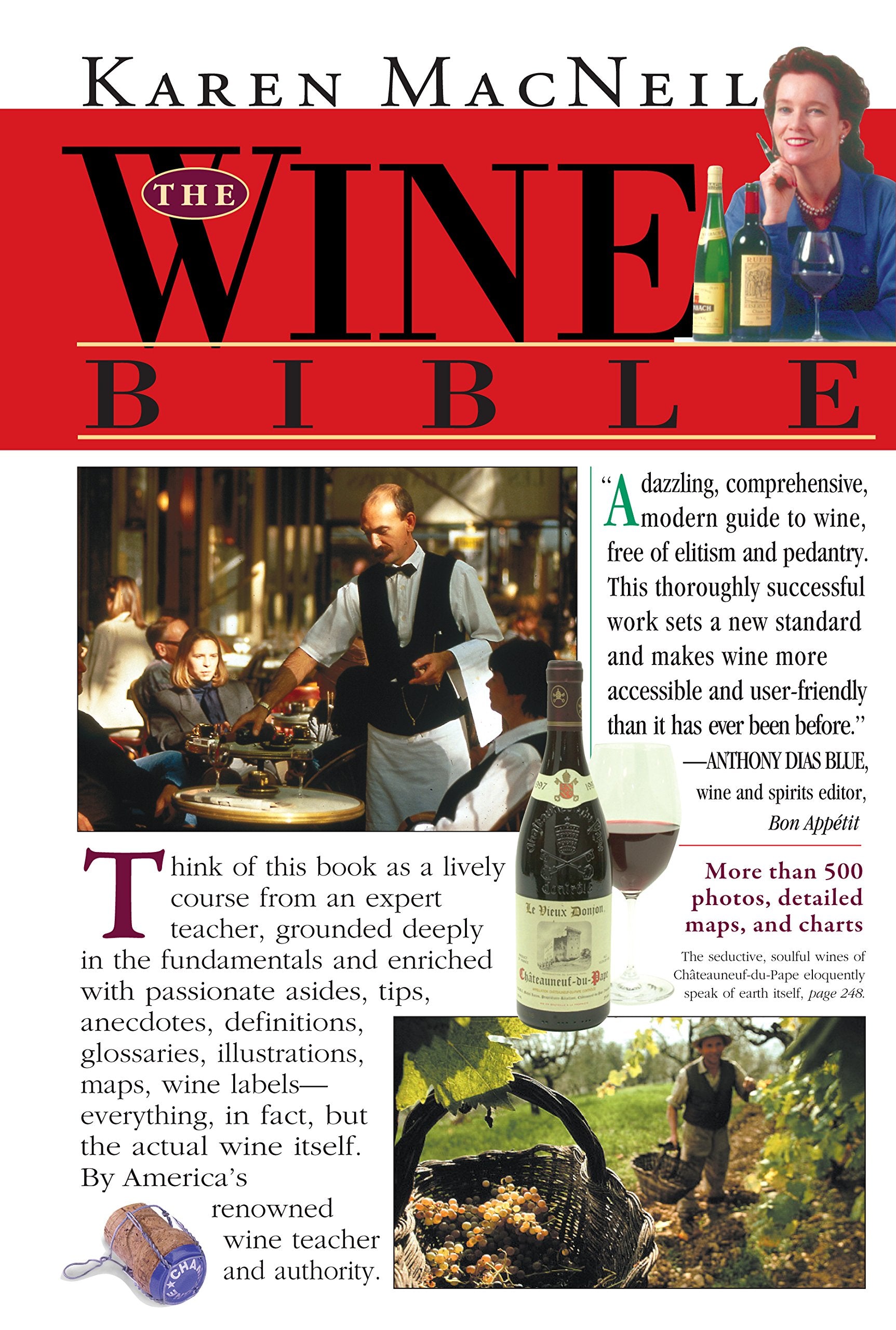 The Wine Bible 9781563054341