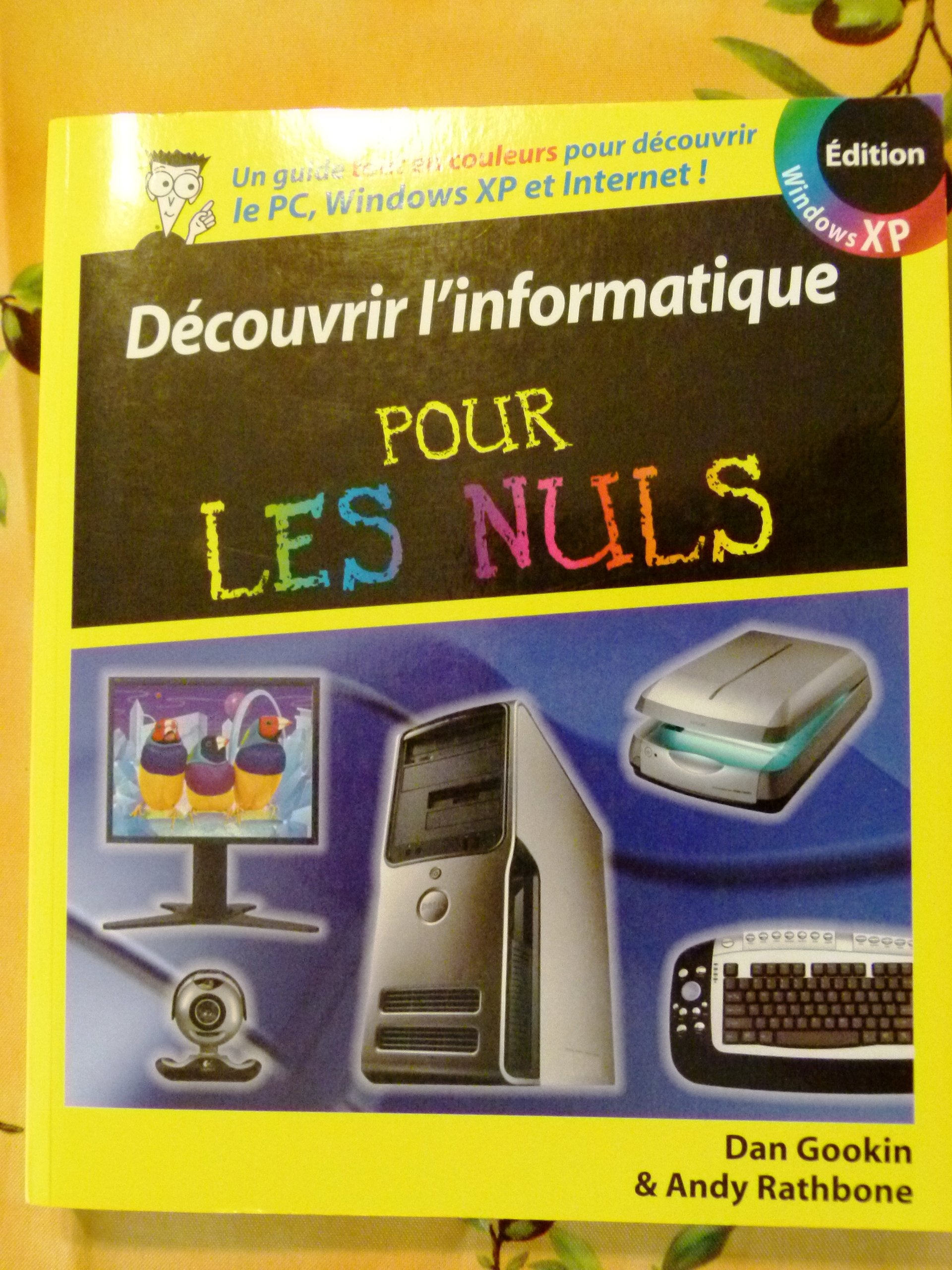 Découvrir l'informatique pour les Nuls 9782844278456