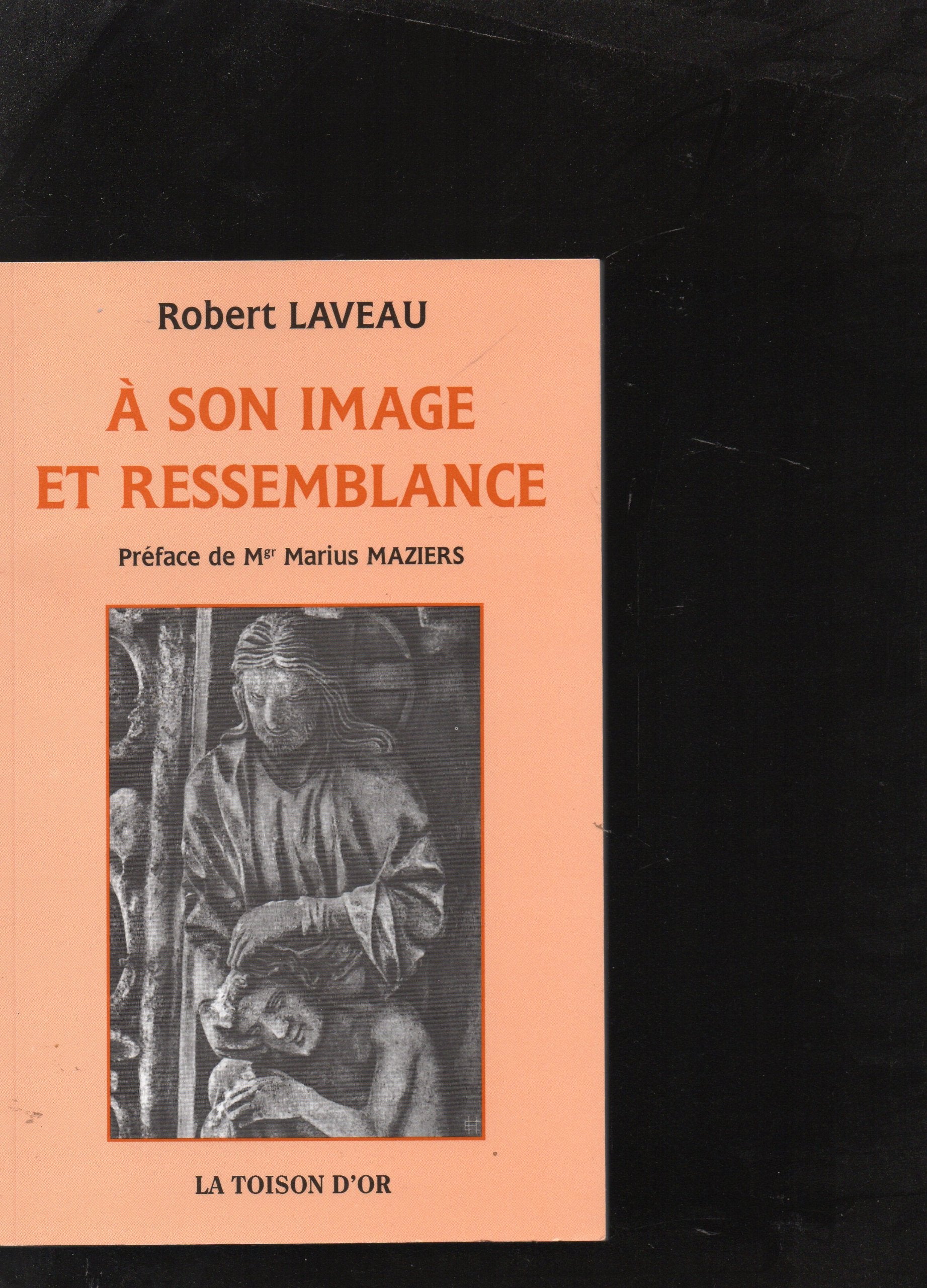 À son image et ressemblance 9782913122024