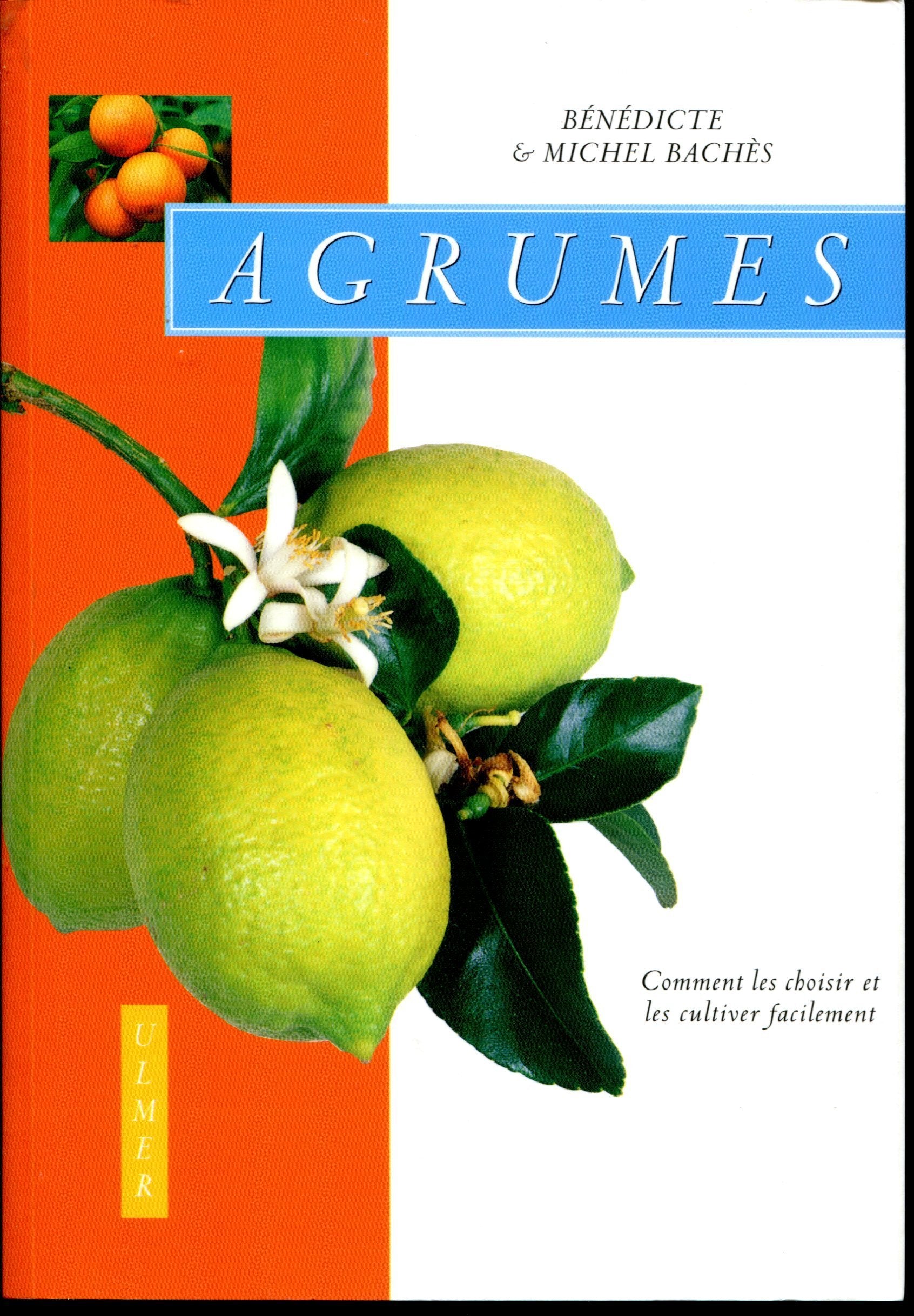 Agrumes : Comment les choisir et les cultiver facilement 9782841381326