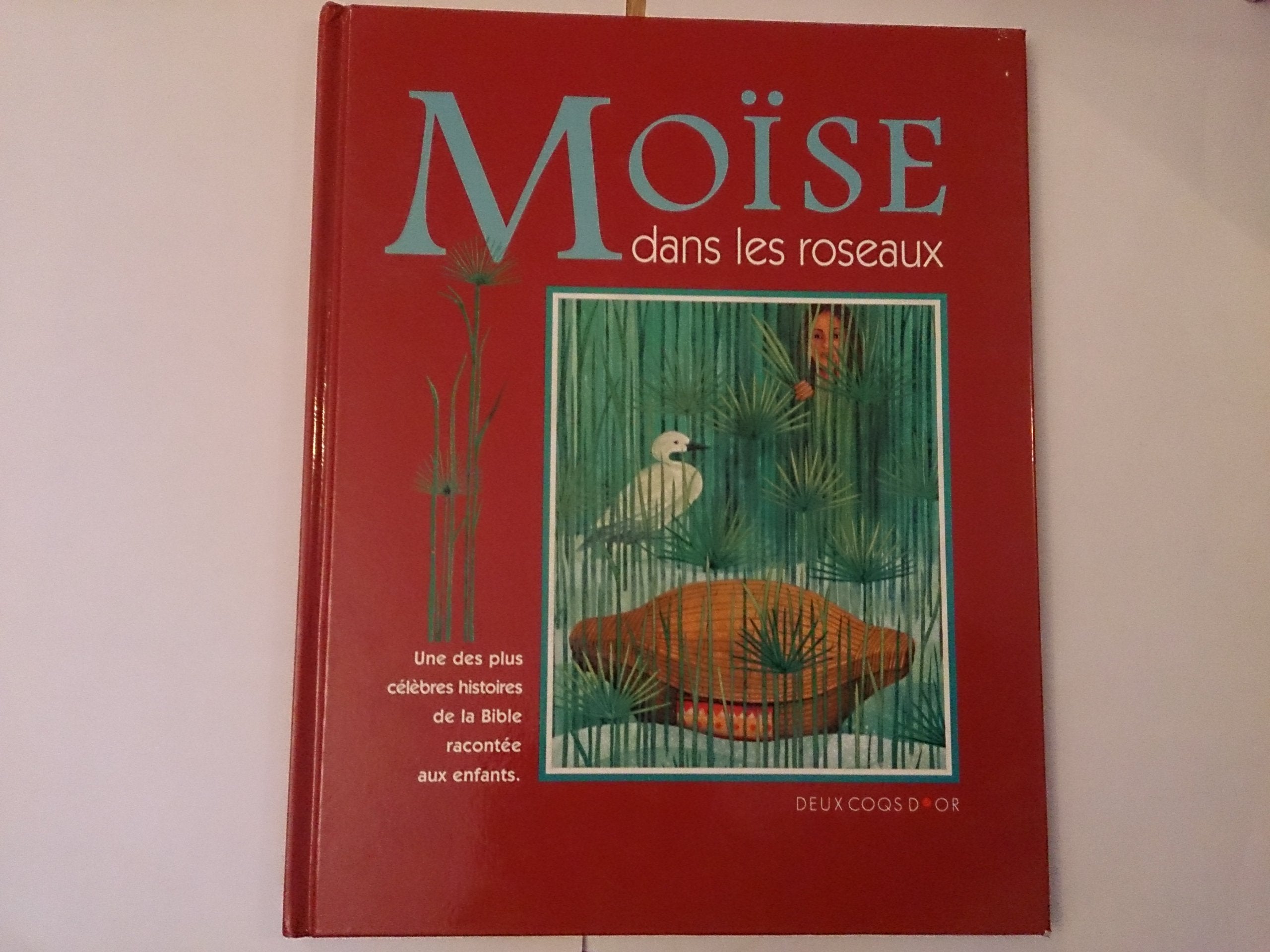 Moïse dans les roseaux 9782013908122