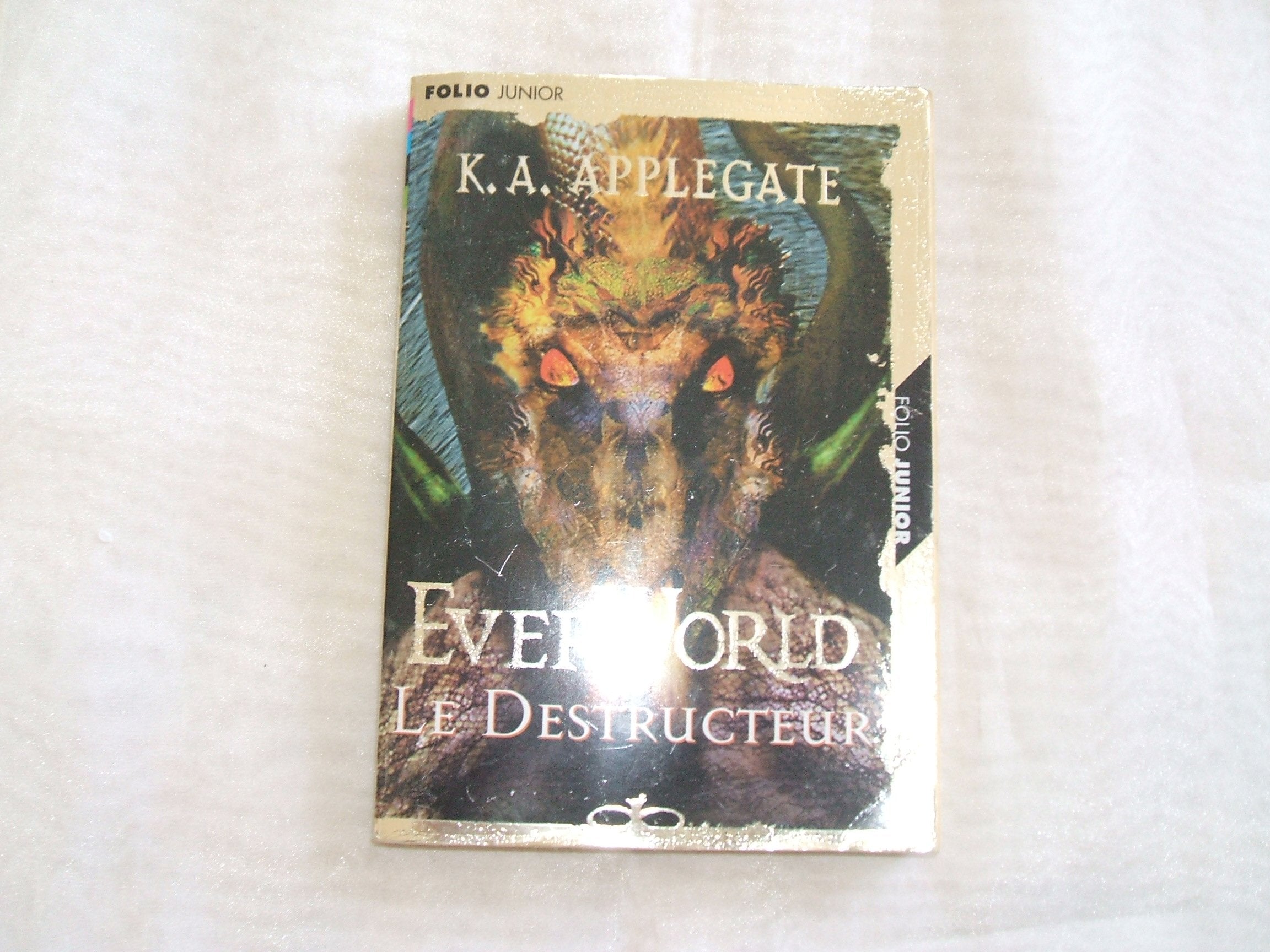 Everworld Tome 5 : Le Destructeur 9782070544820