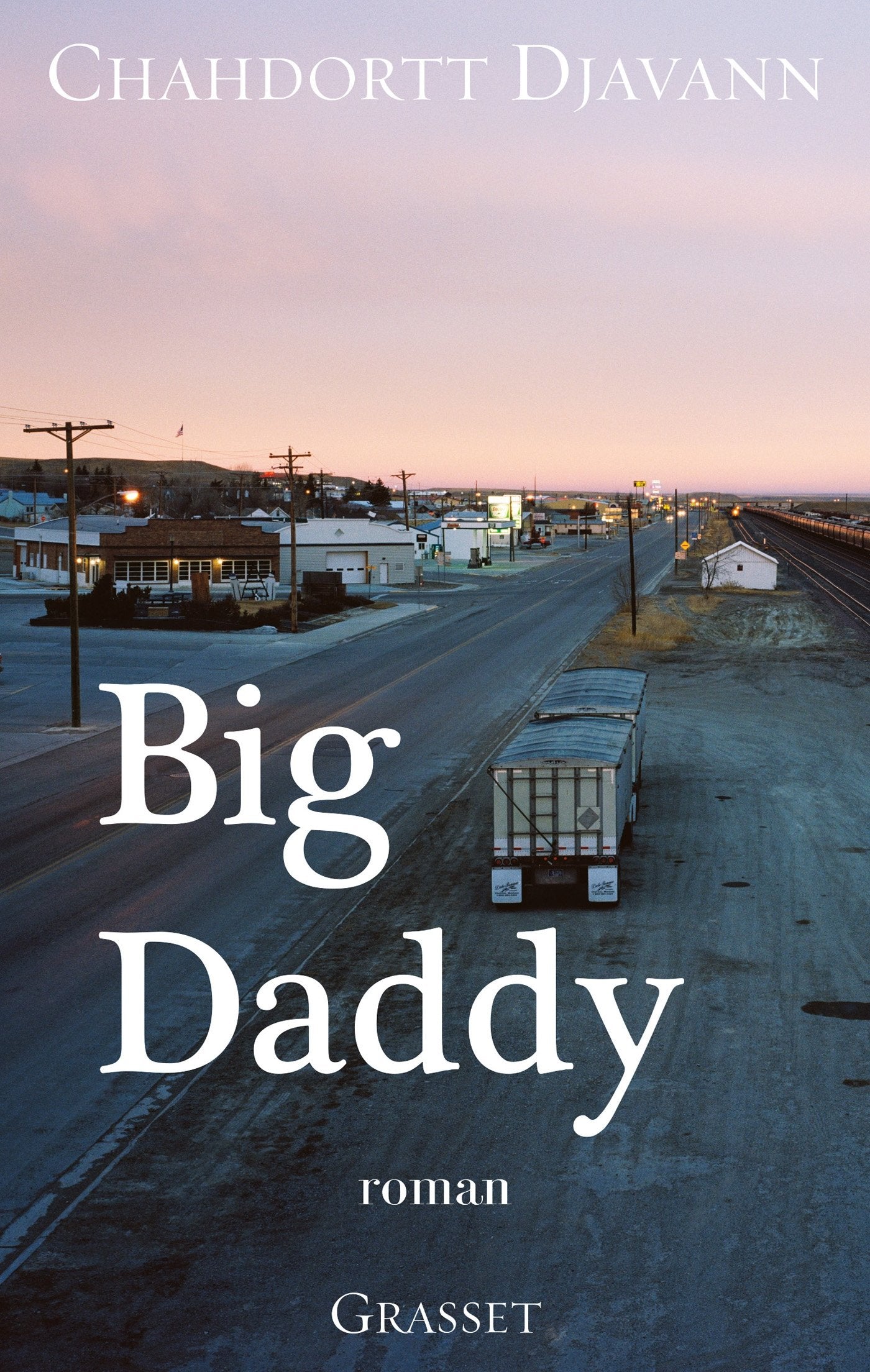 Big daddy: roman 9782246851783