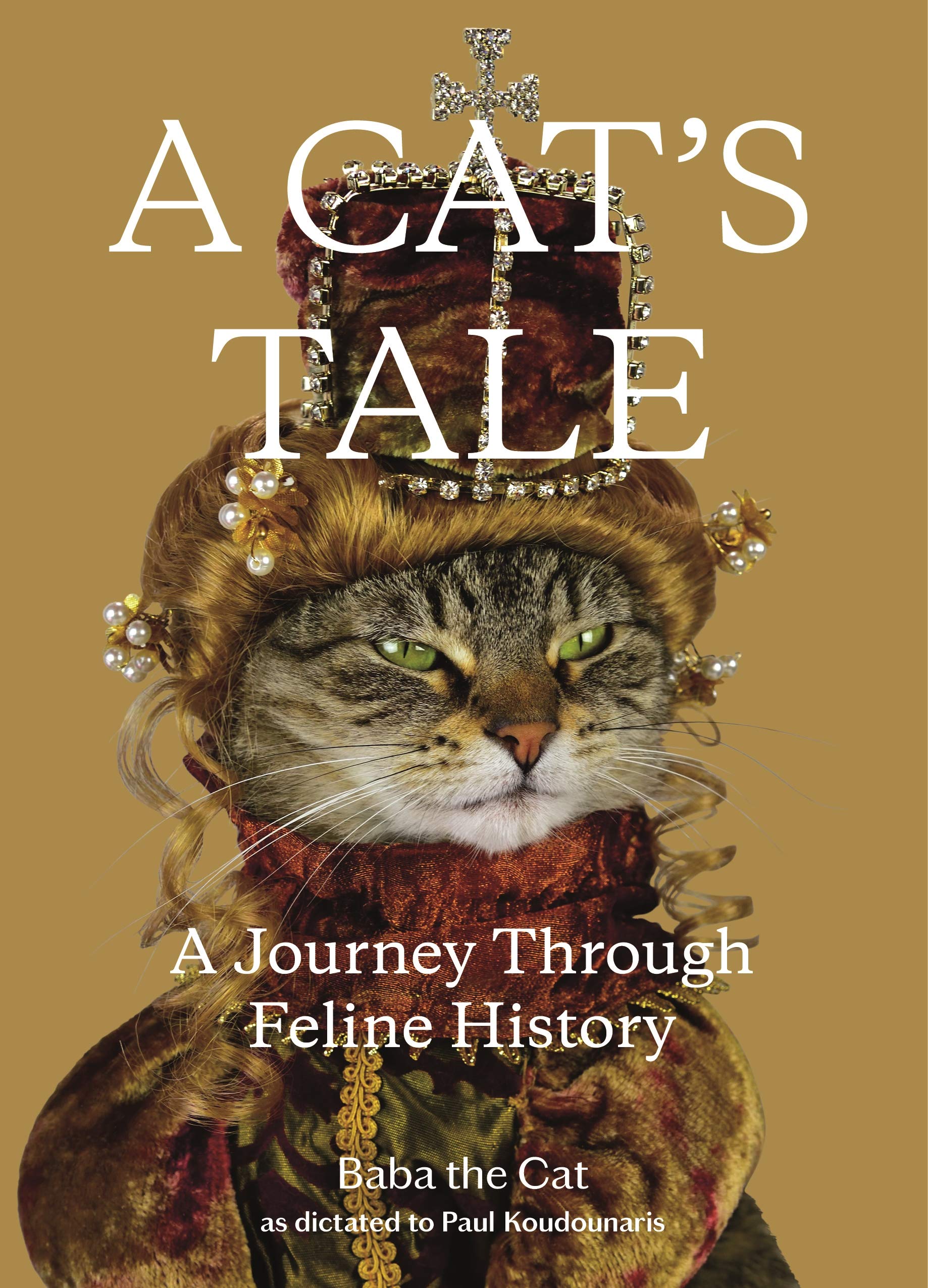 A Cat's Tale: A Journey Through Feline History 9781250217721