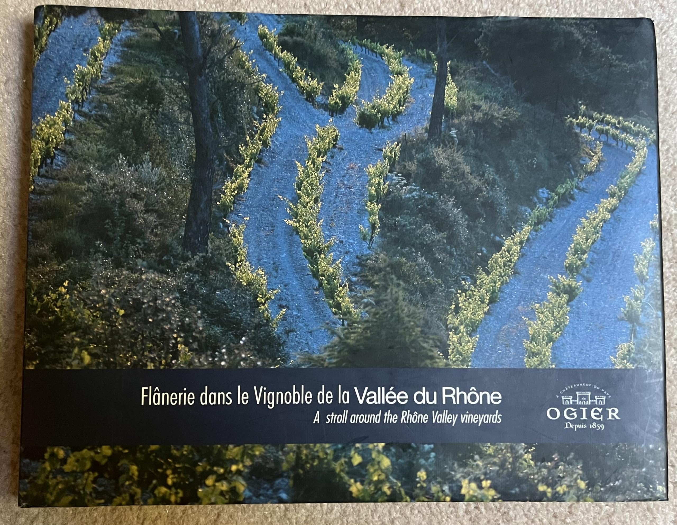 flaneries dans le vignoble de la vallée du Rhone 9782952491419