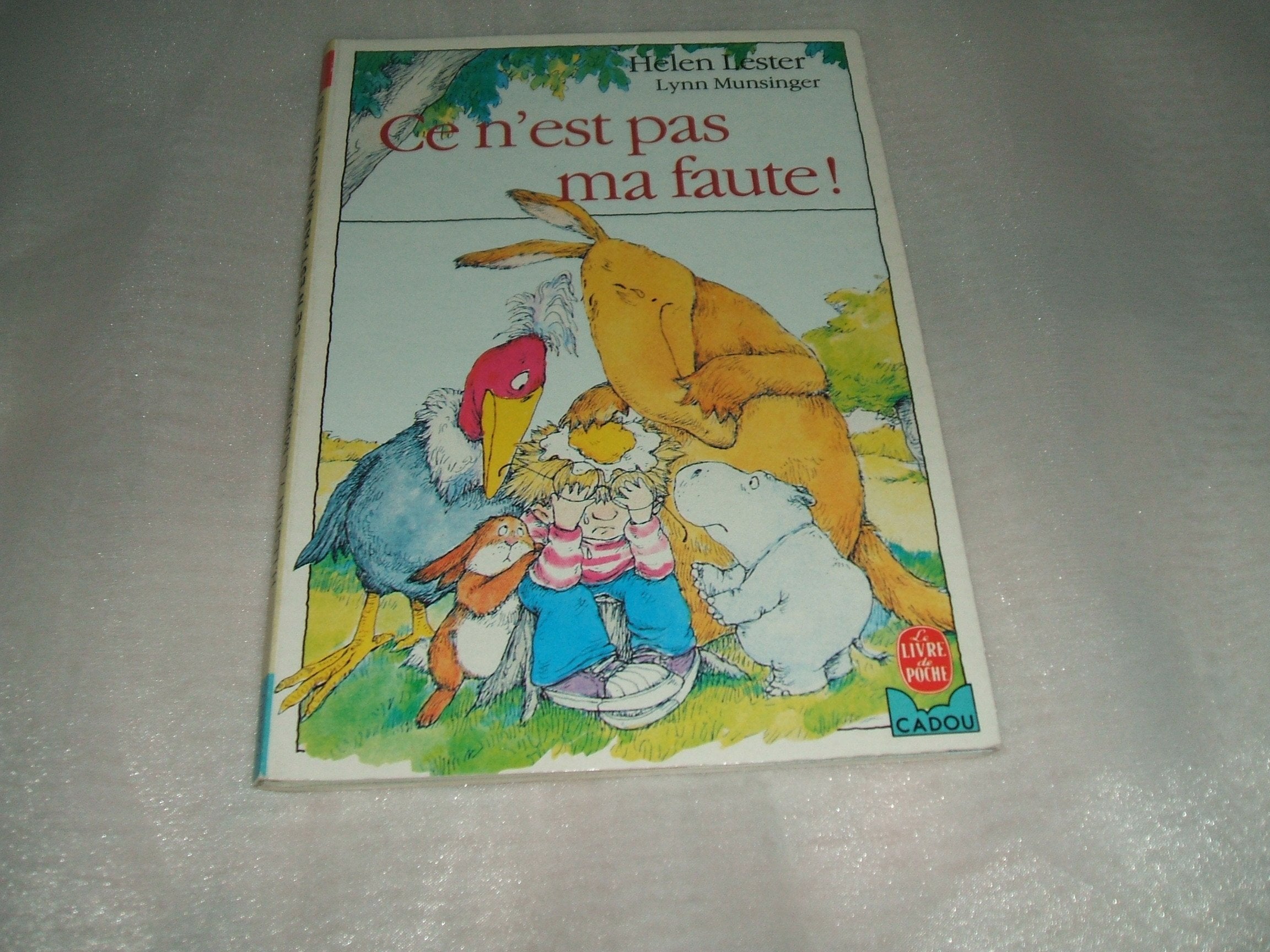 Ce n'est pas ma faute 9782010138317