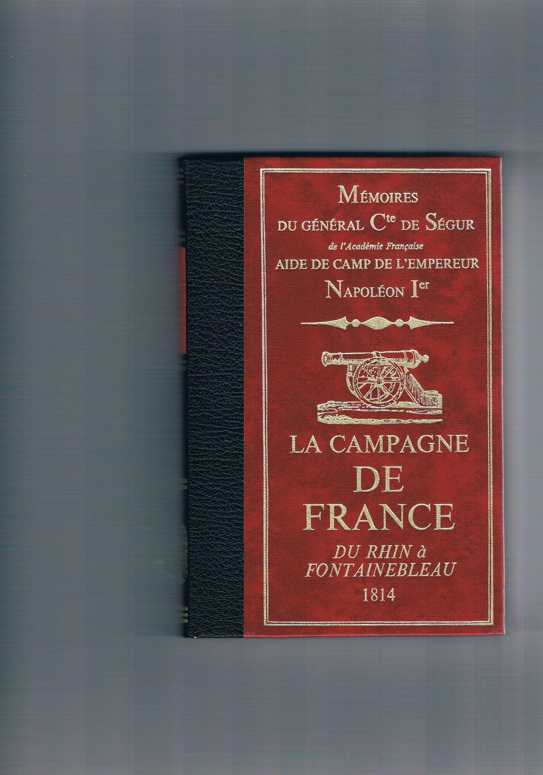 La campagne De France - Du Rhin à Fontainebleau - 1814 