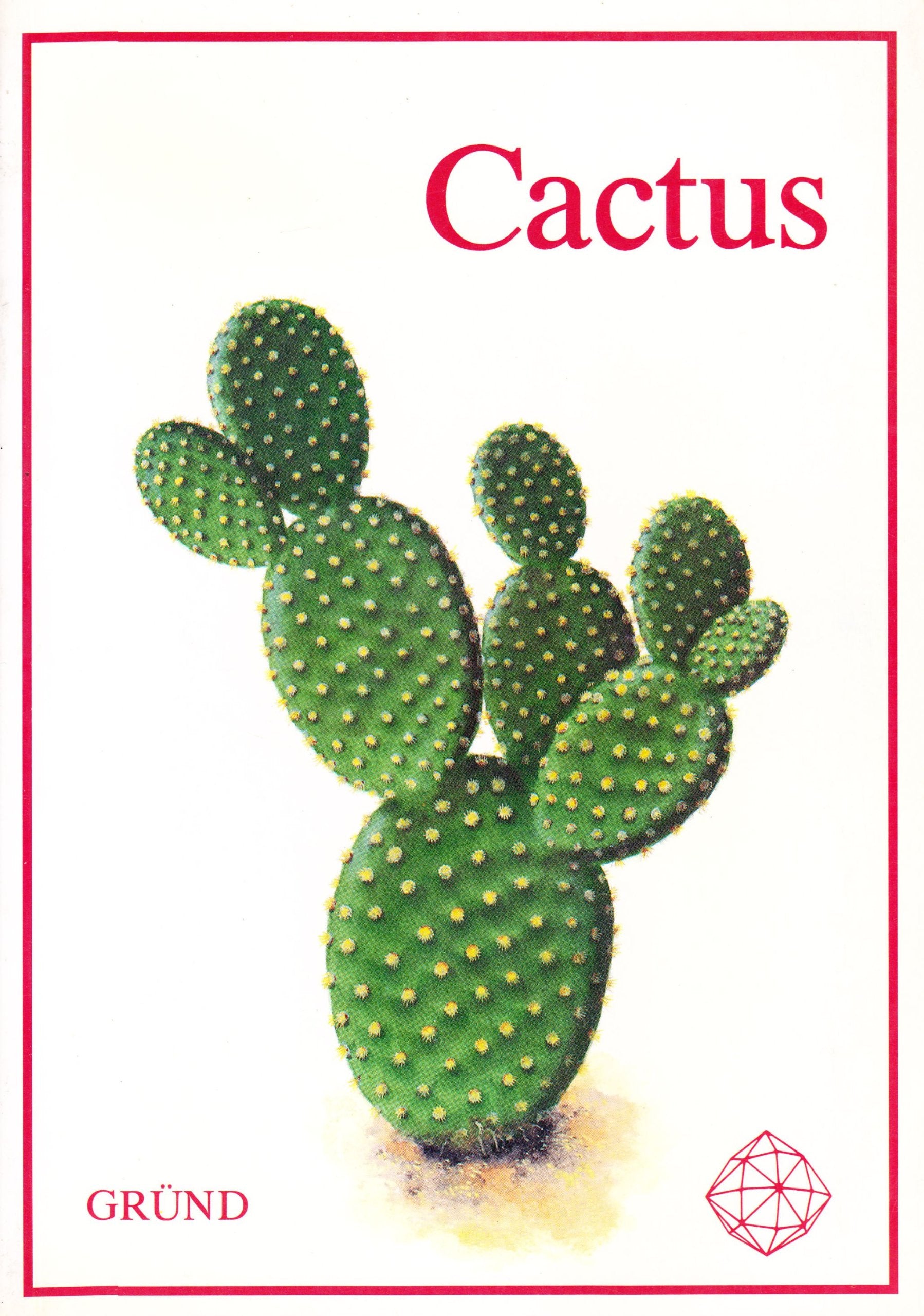 Cactus 9782700018301