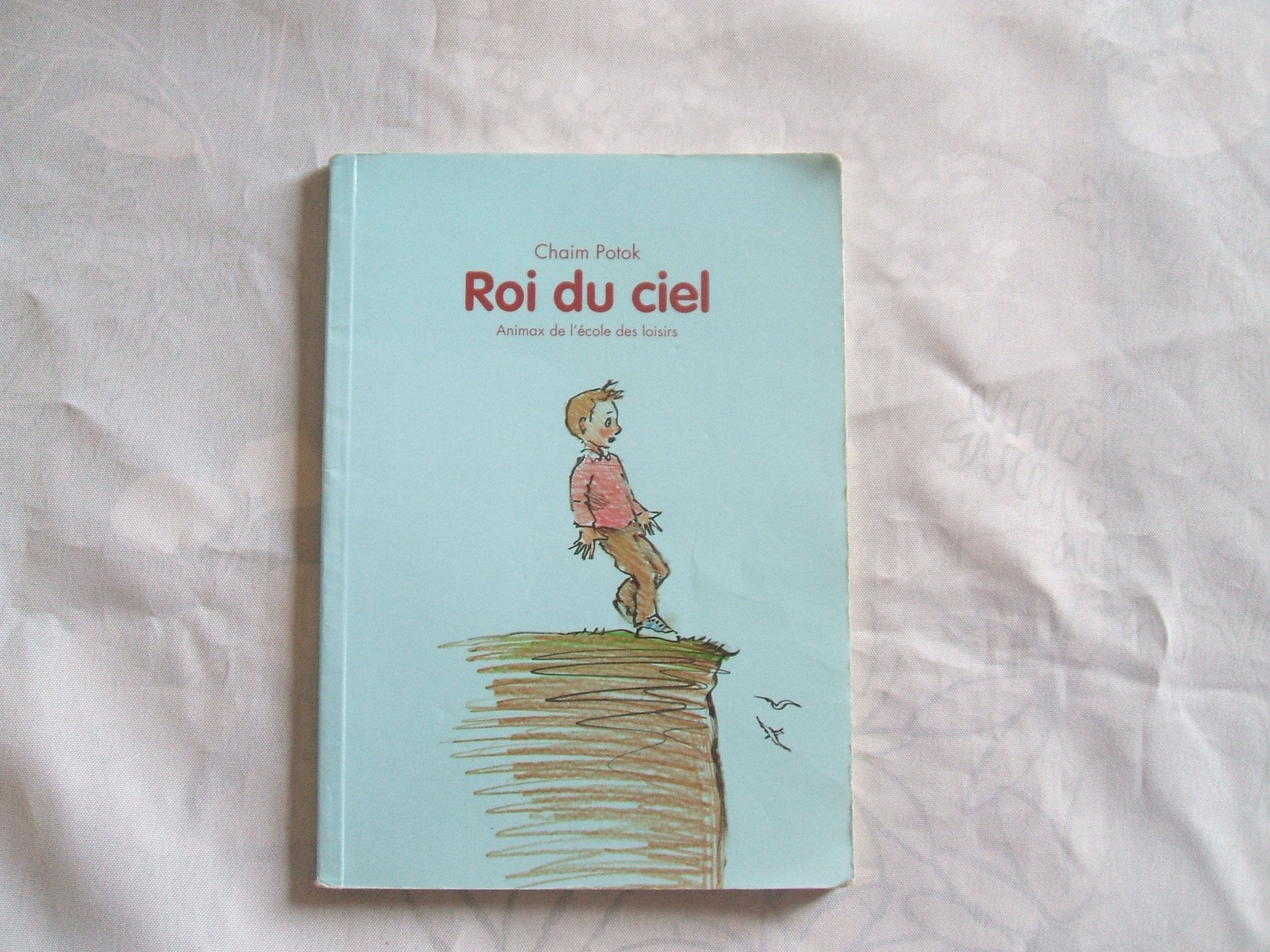 Roi du ciel 9782211057196