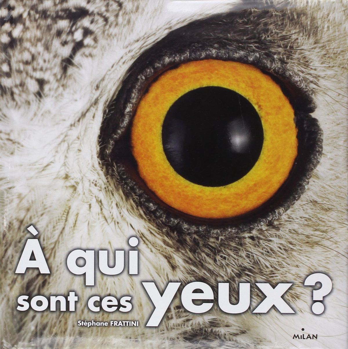A qui sont ces yeux ? 9782745934680