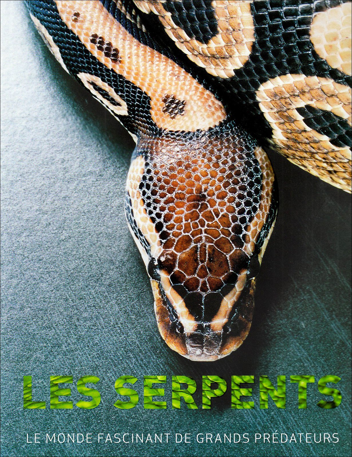 Les serpents : Le monde fascinant des grands prédateurs 9781407541747