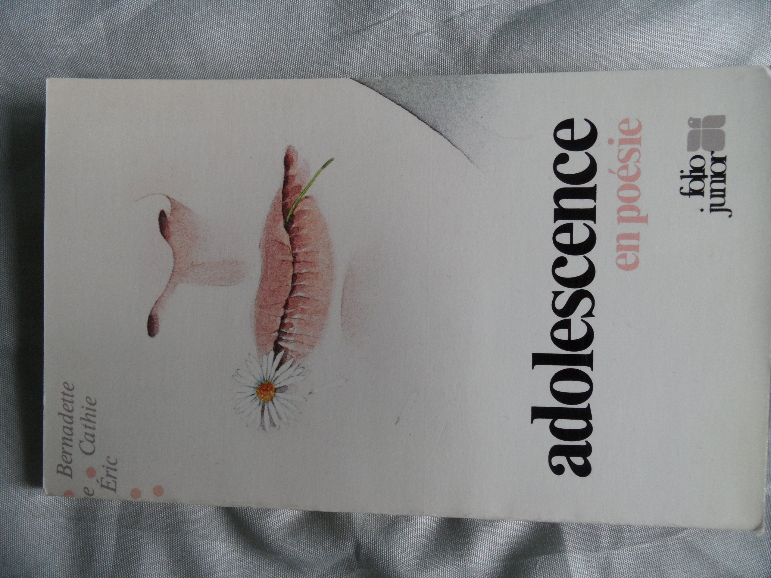 Adolescence en poésie 9782070340361