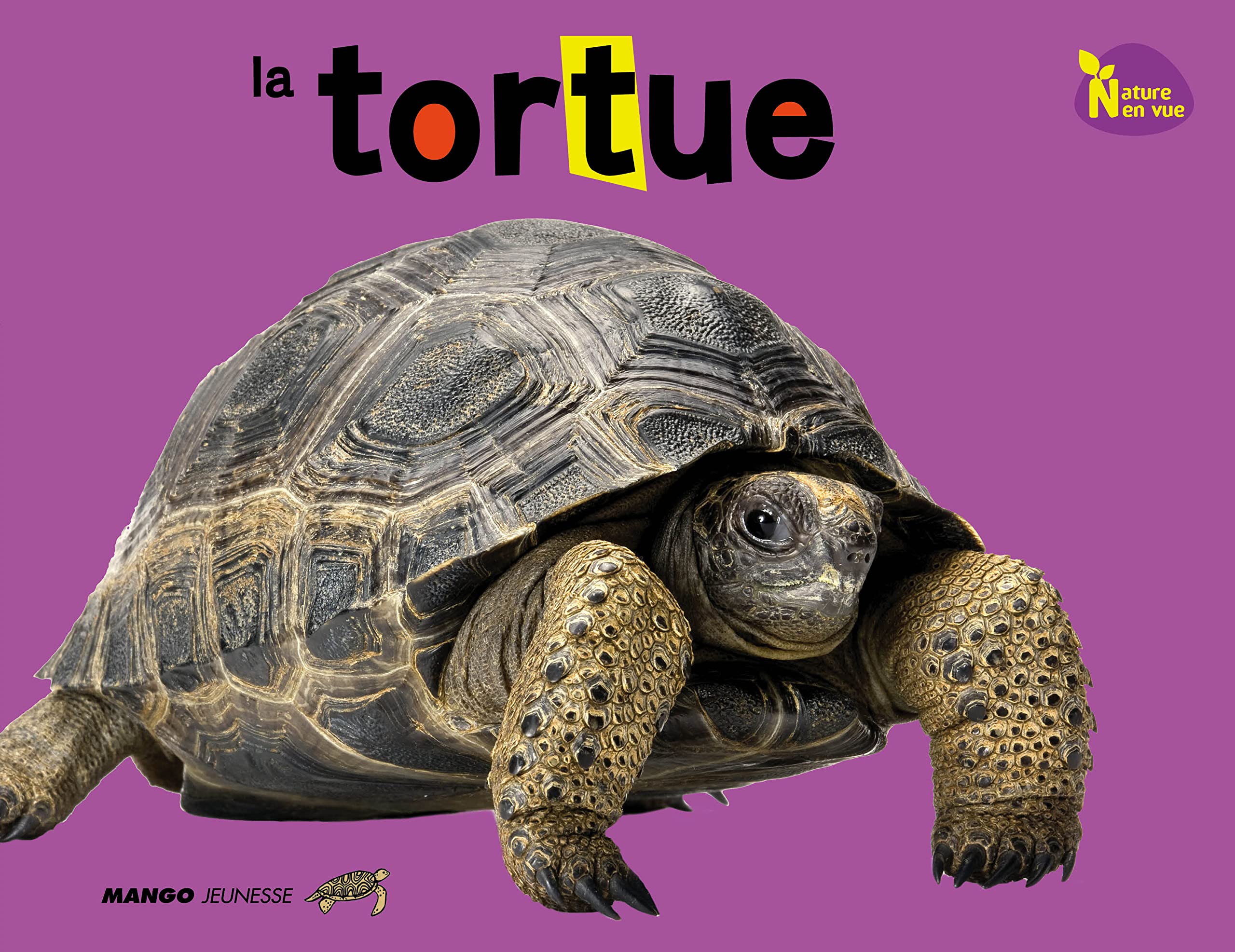 La tortue 9782740430651