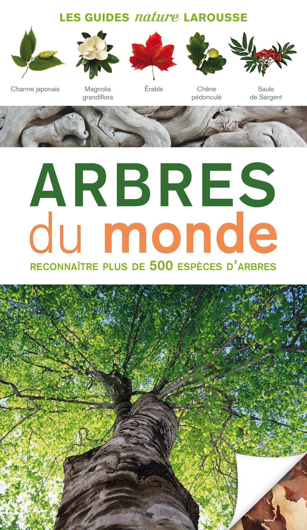 Arbres du monde 9782035871992