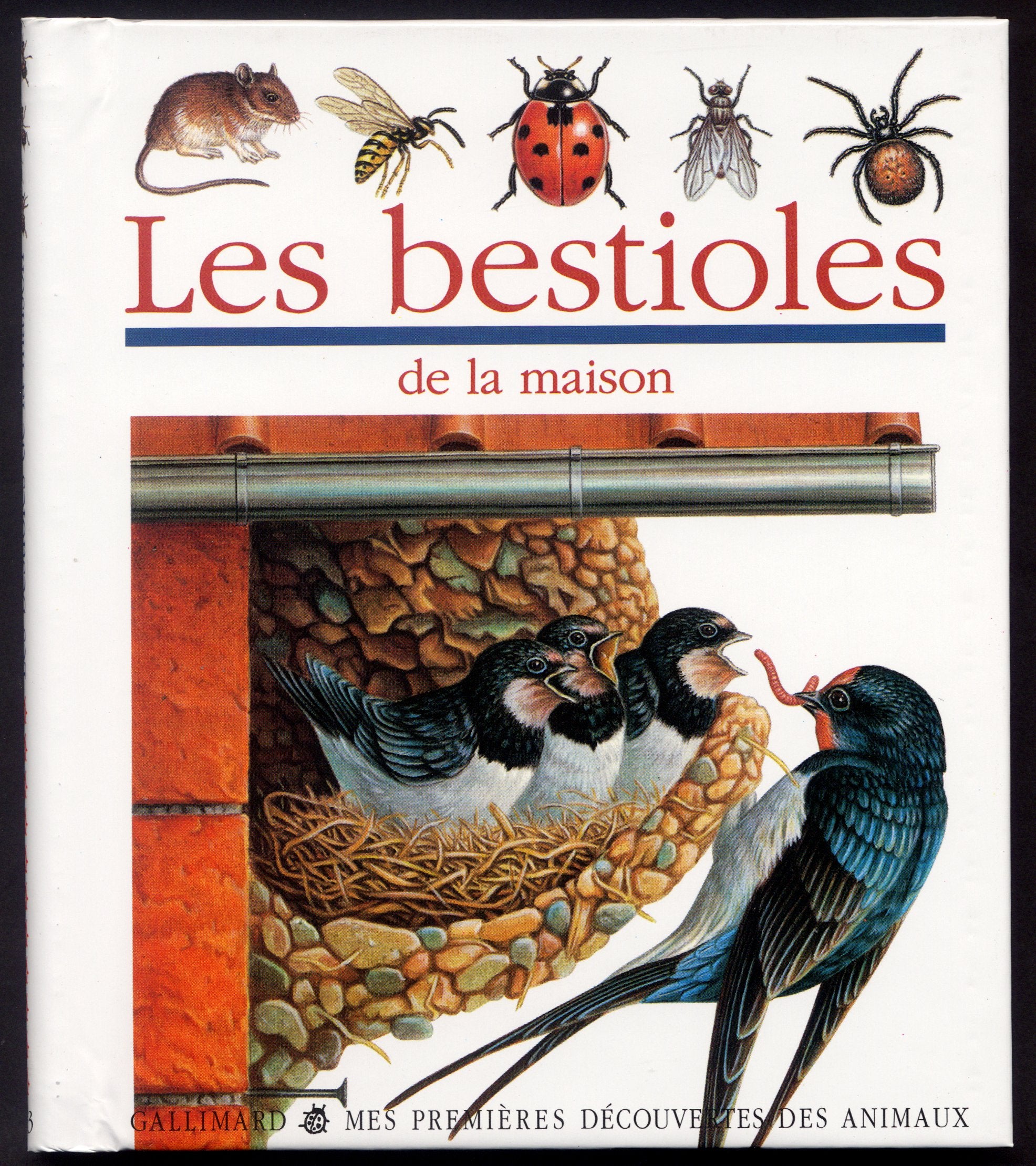 Les bestioles de la maison 9782070595372