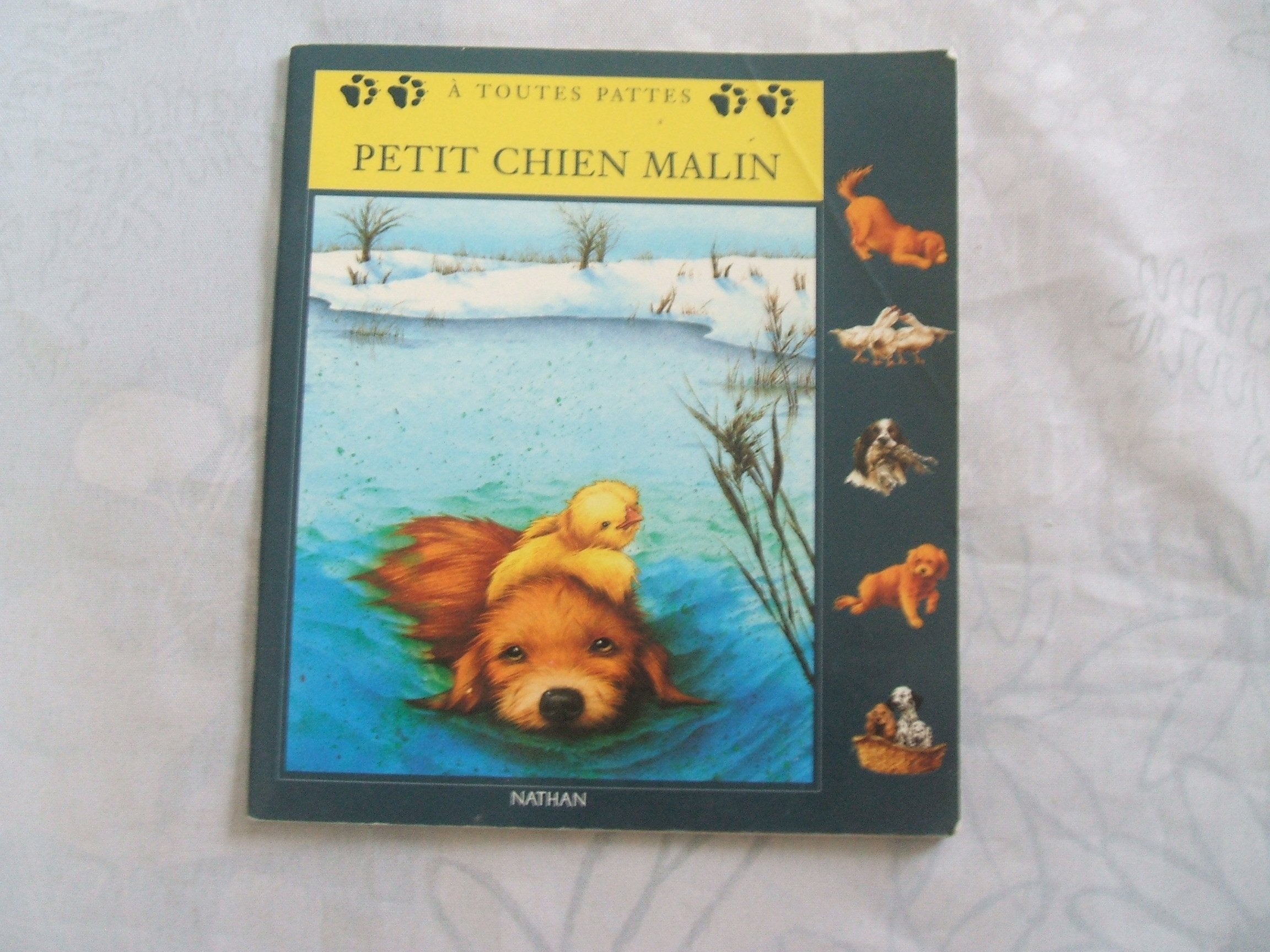 Petit Chien Malin 9782092015926