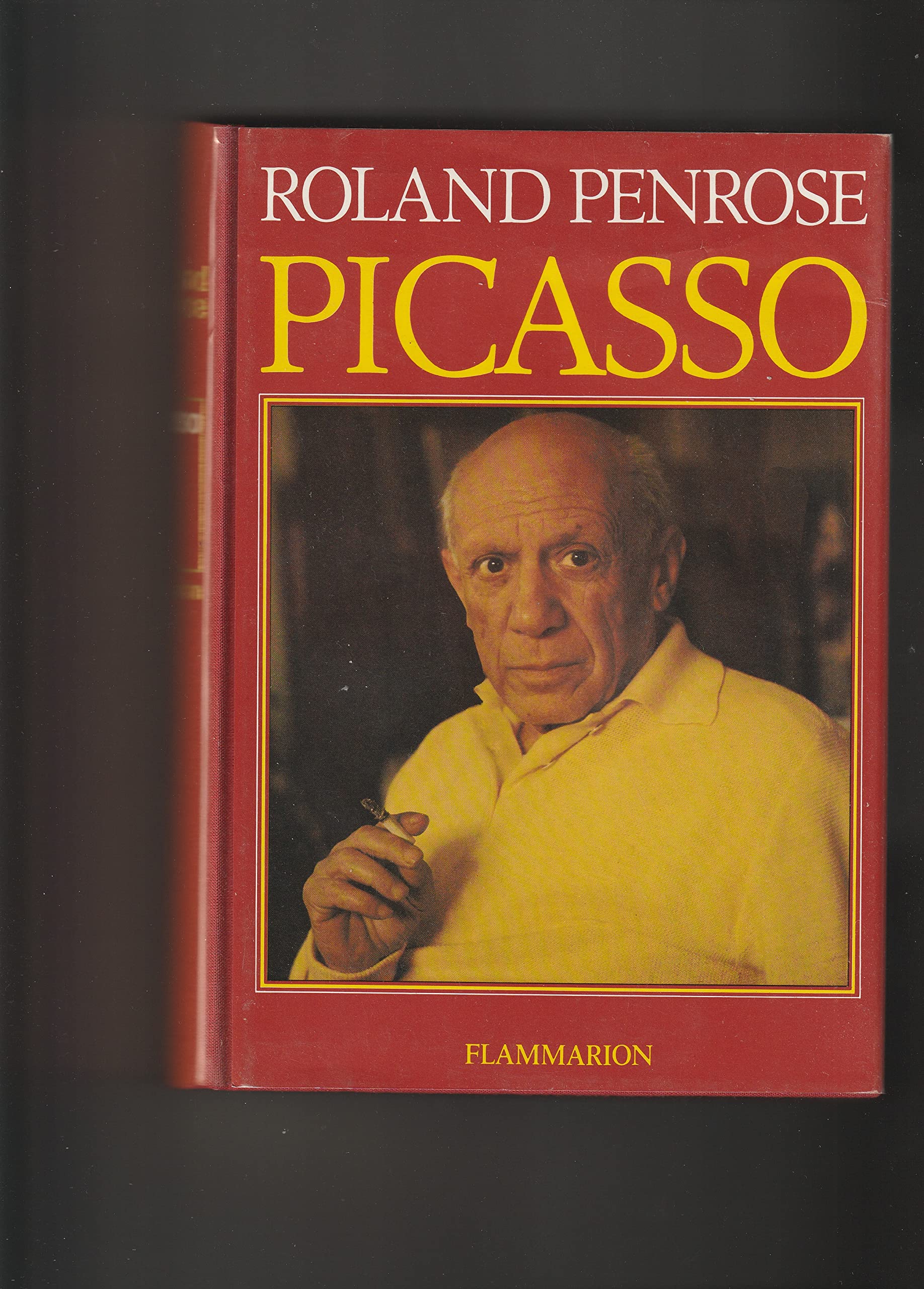 Picasso 9782080816078