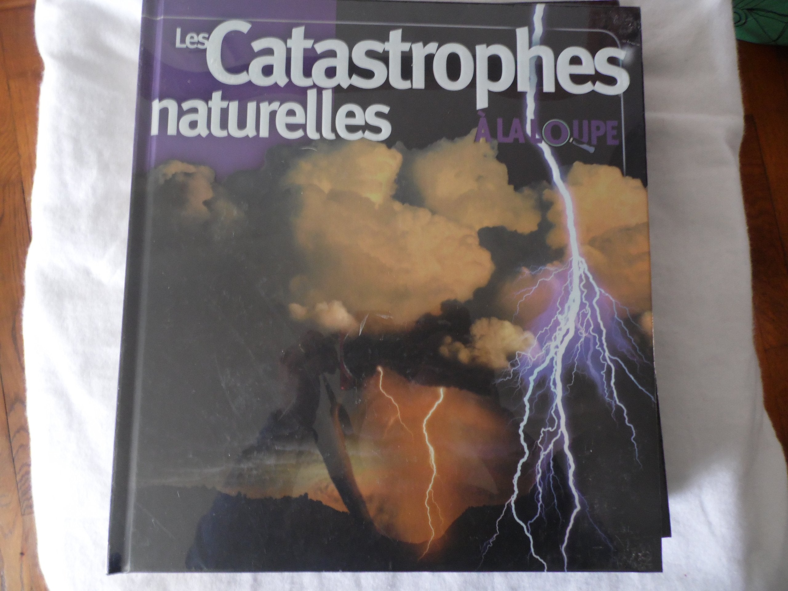 LES catastrophes naturelles à la loupe 9782298029987