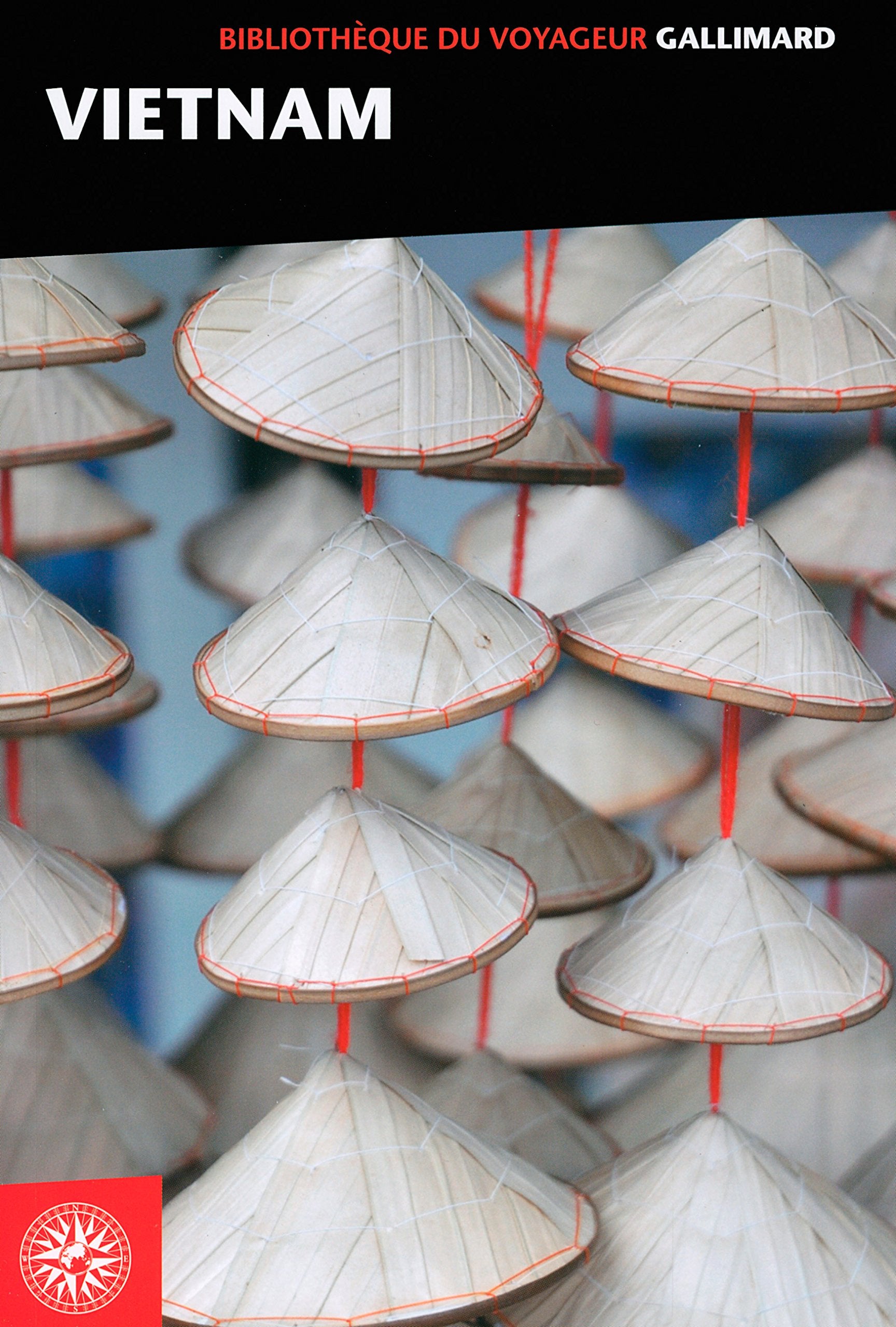 Guide Vietnam 9782742441754