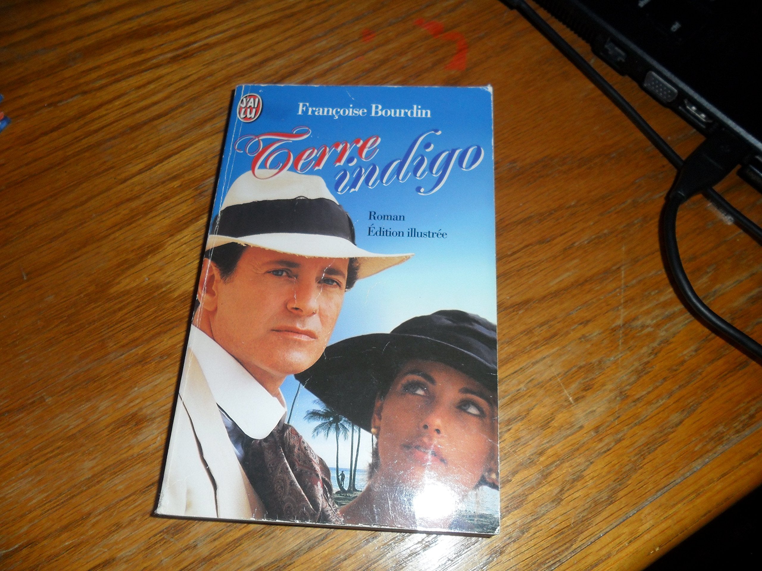 Terre indigo 9782290043820