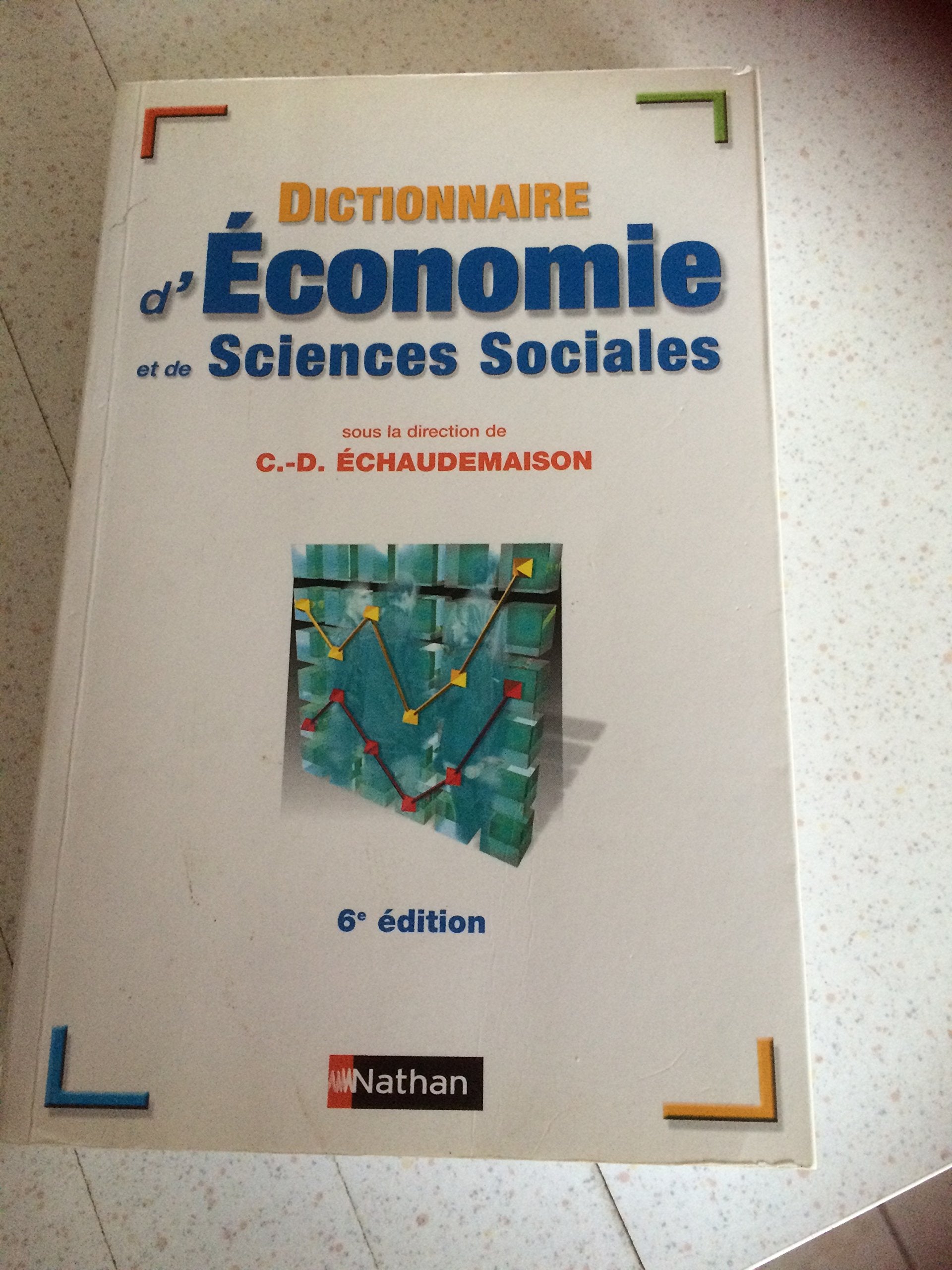 Dictionnaire d'économie et de sciences sociales 9782091820354