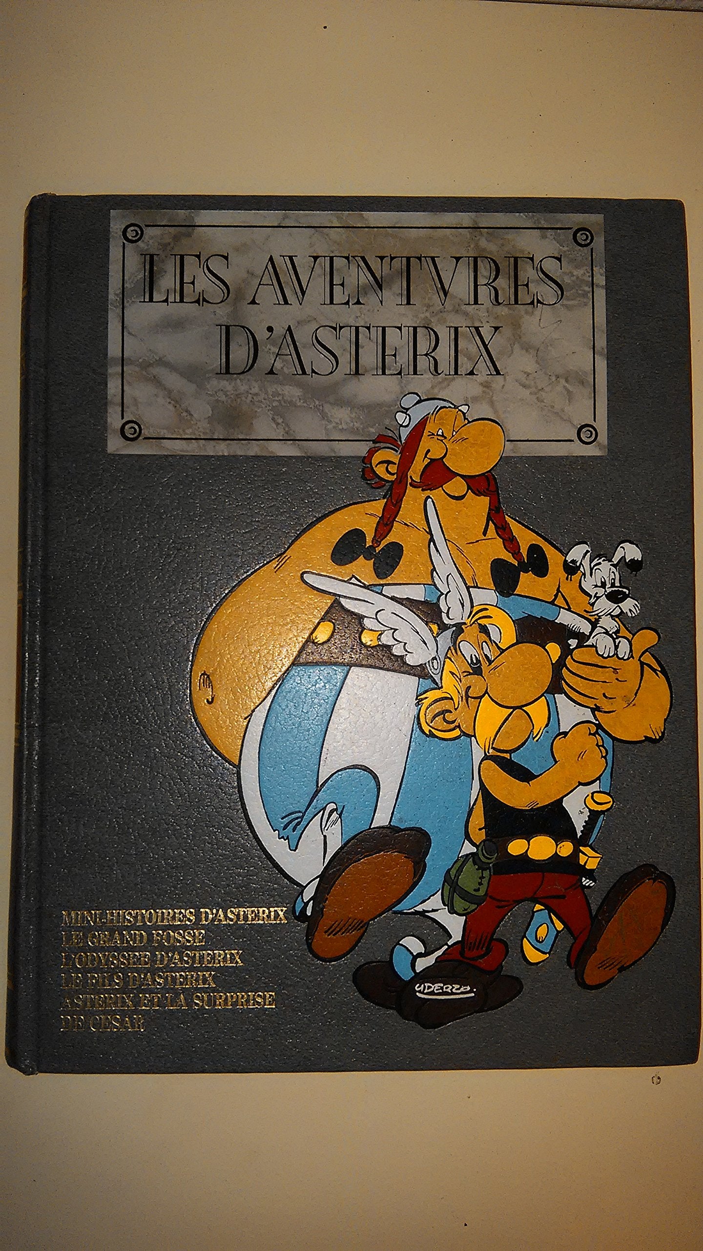 Les aventures d'Astérix 9782864970187