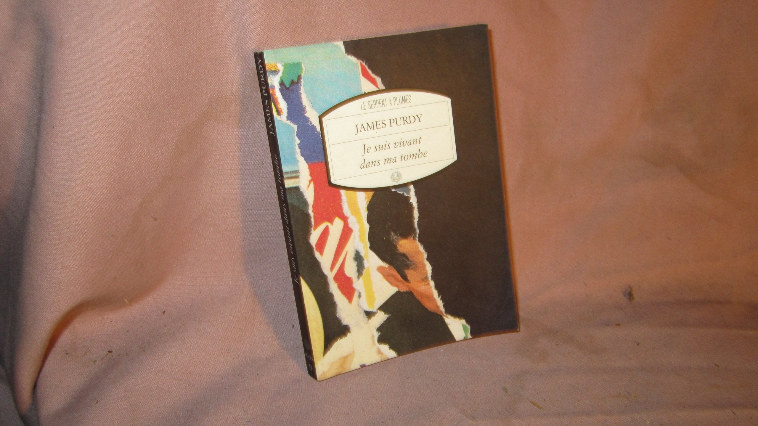 Je suis vivant dans ma tombe 9782908957471