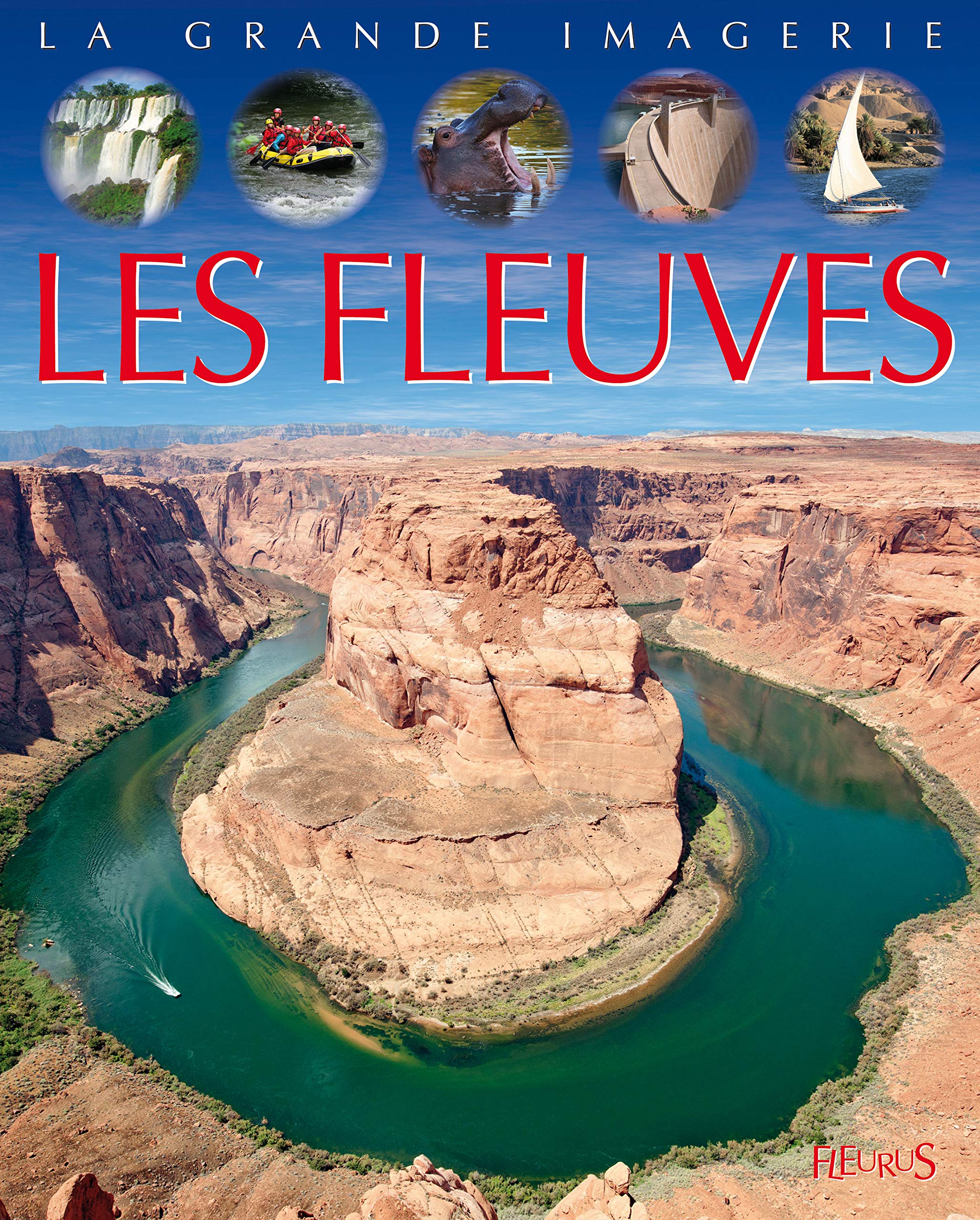 Les fleuves 9782215116646