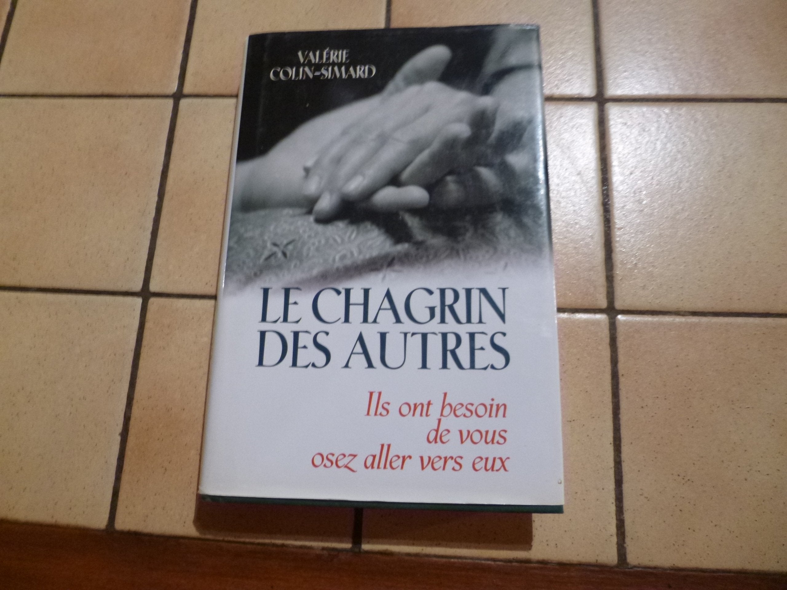 Le chagrin des autres: Ils ont besoin de vous, osez aller vers eux 9782910188030