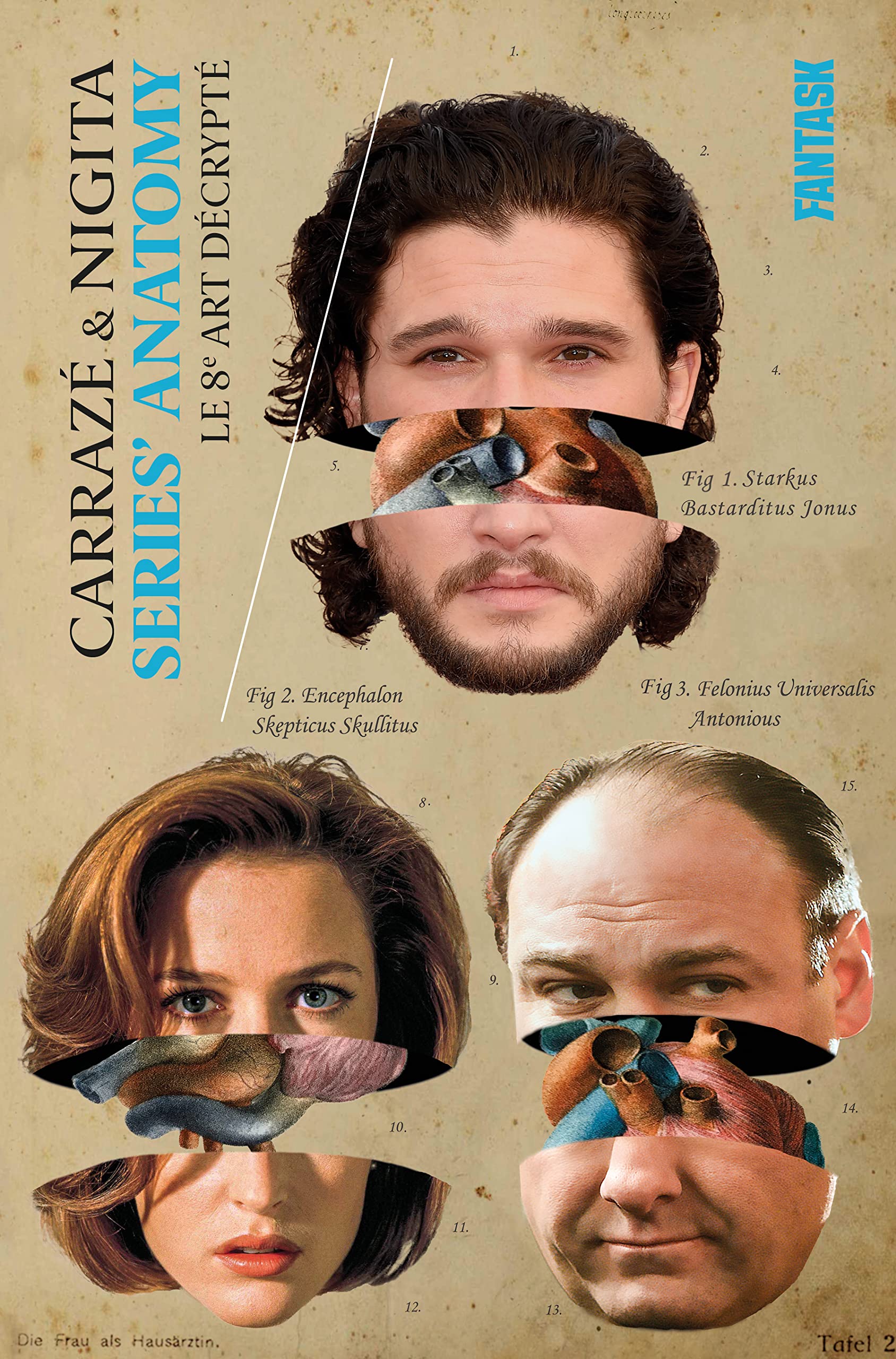 Series' Anatomy, le 8e art décrypté 9782374940083