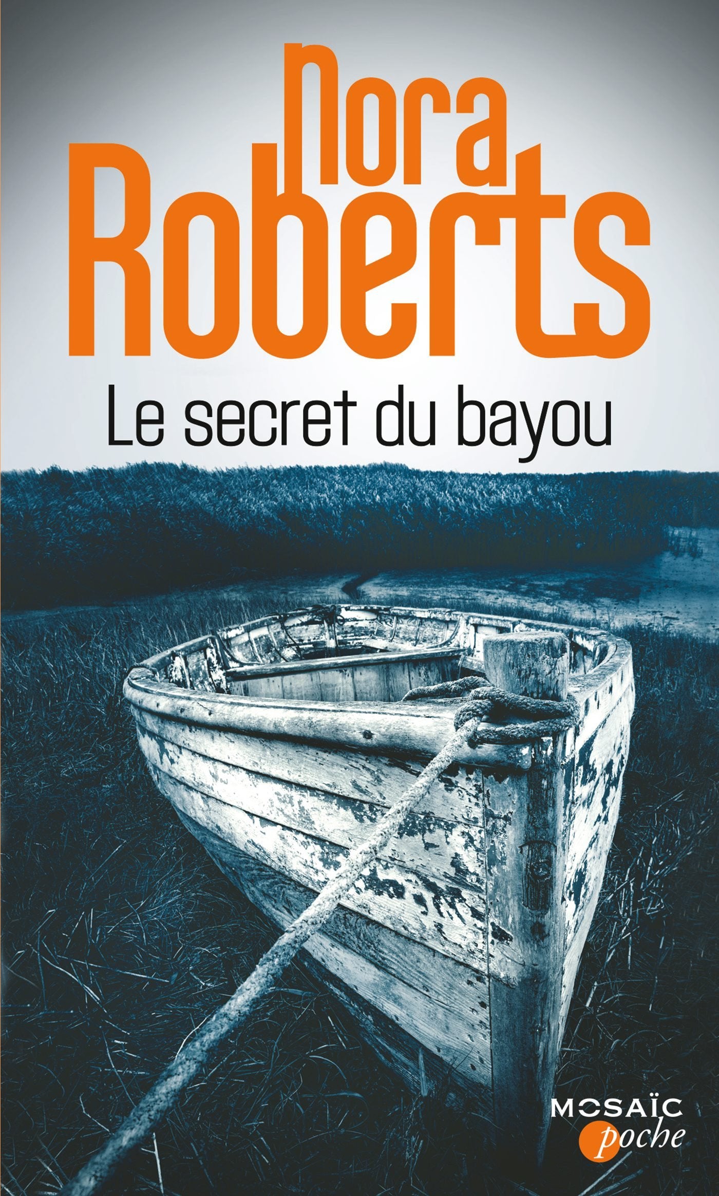 Le secret du bayou 9782280352734