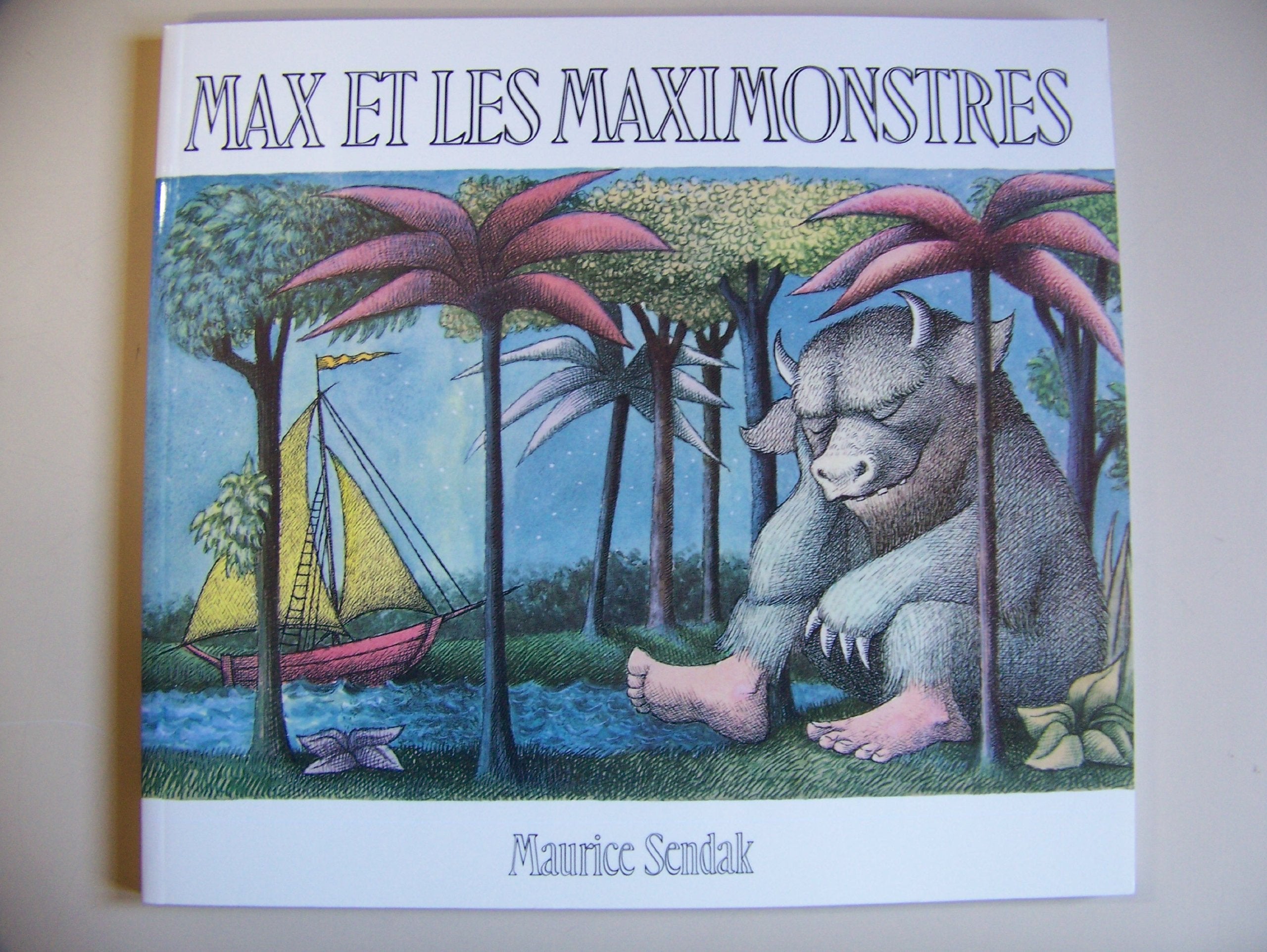 Max Et Le Maximontres 9782211019651