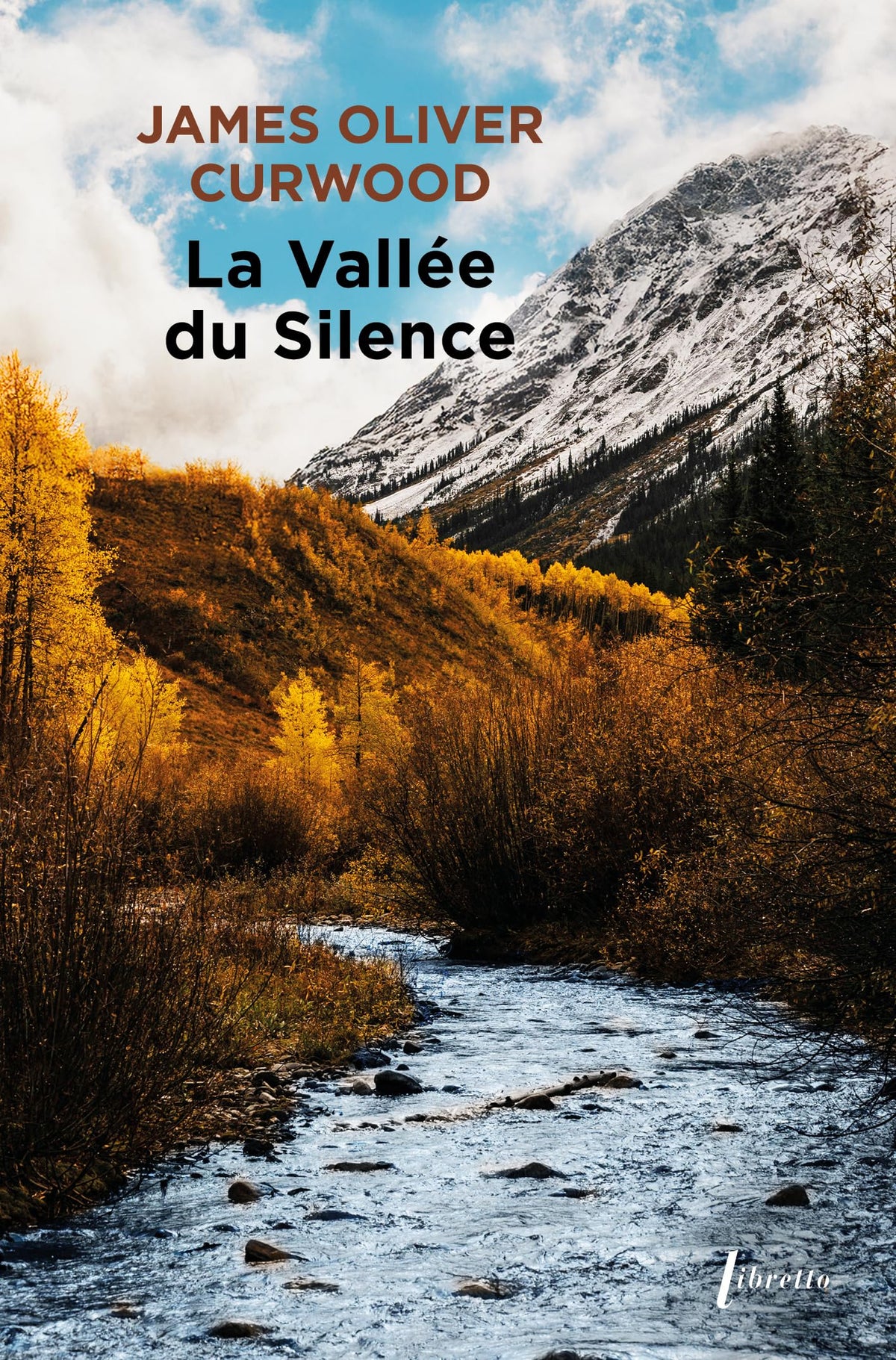 La vallée du silence 9782369149958