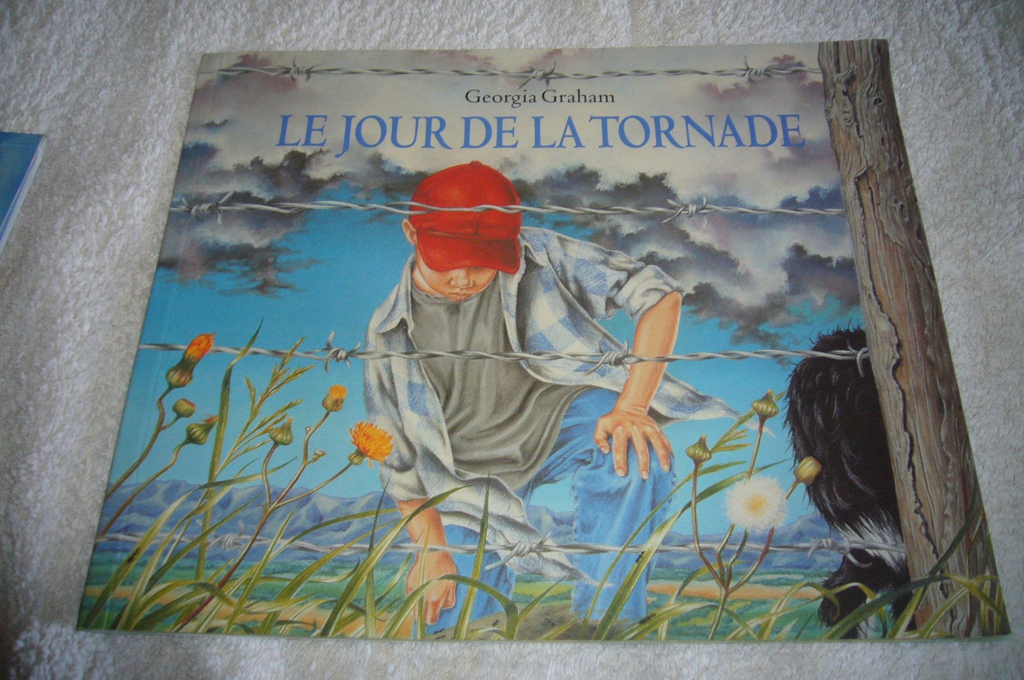 Jour de la tornade (Le) 9782211056717