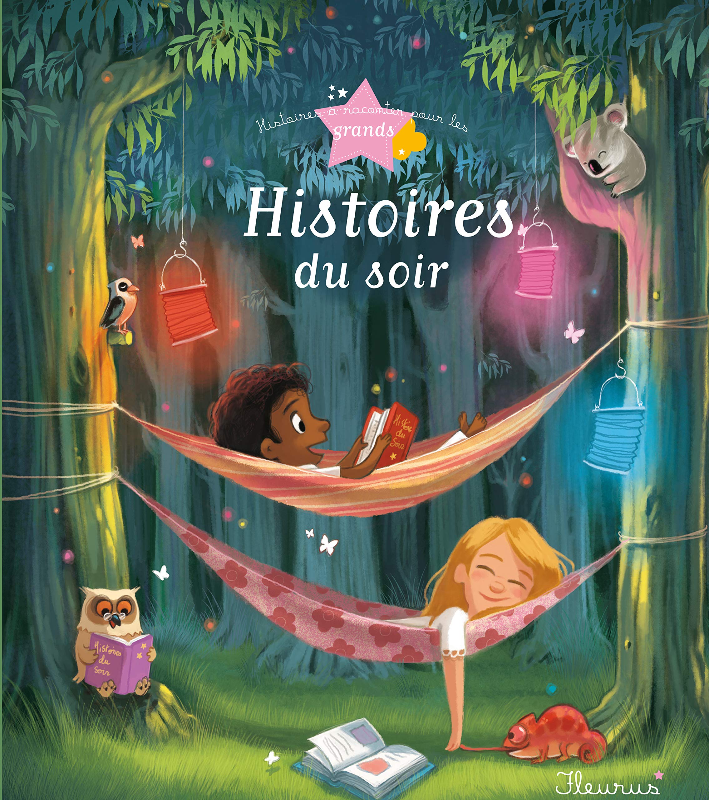 Histoires du soir 9782215098294