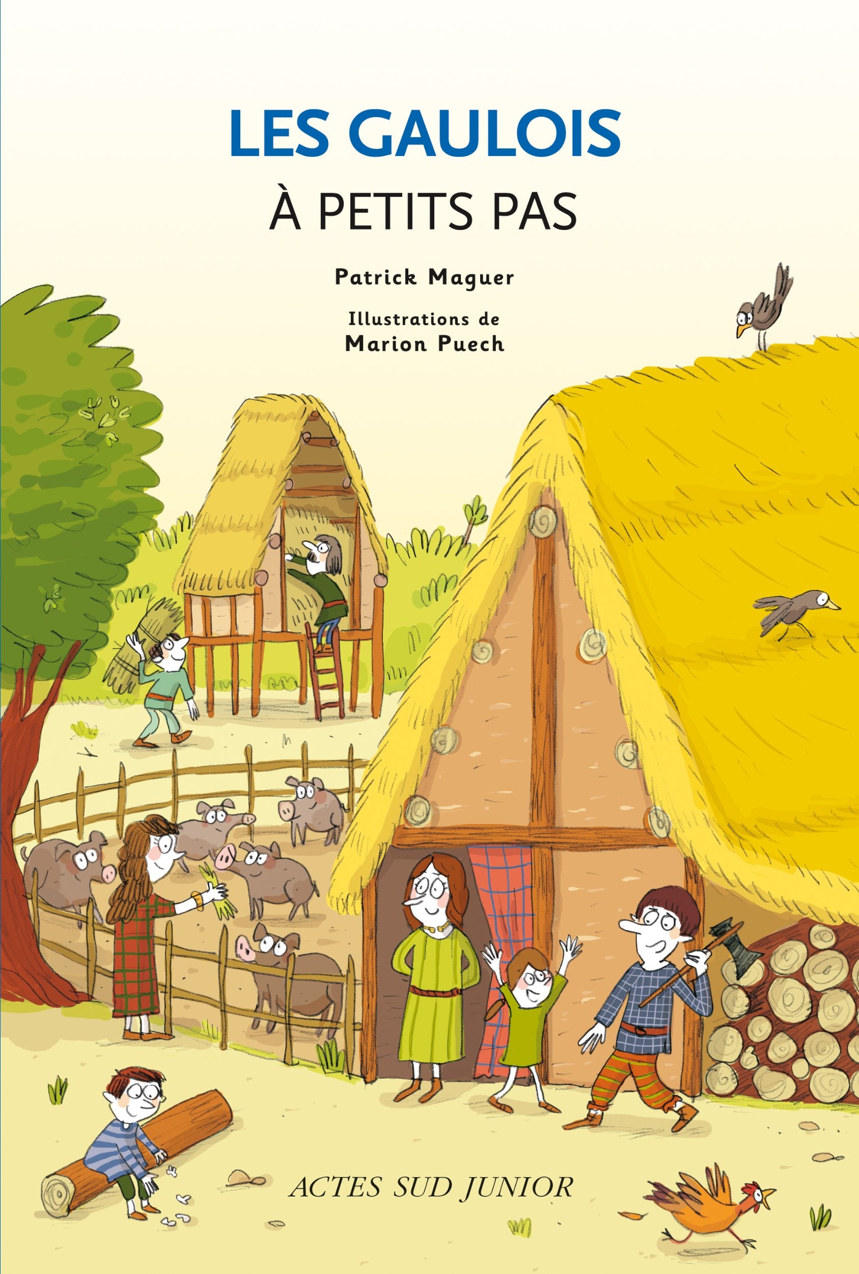 Les Gaulois à petits pas 9782742784844