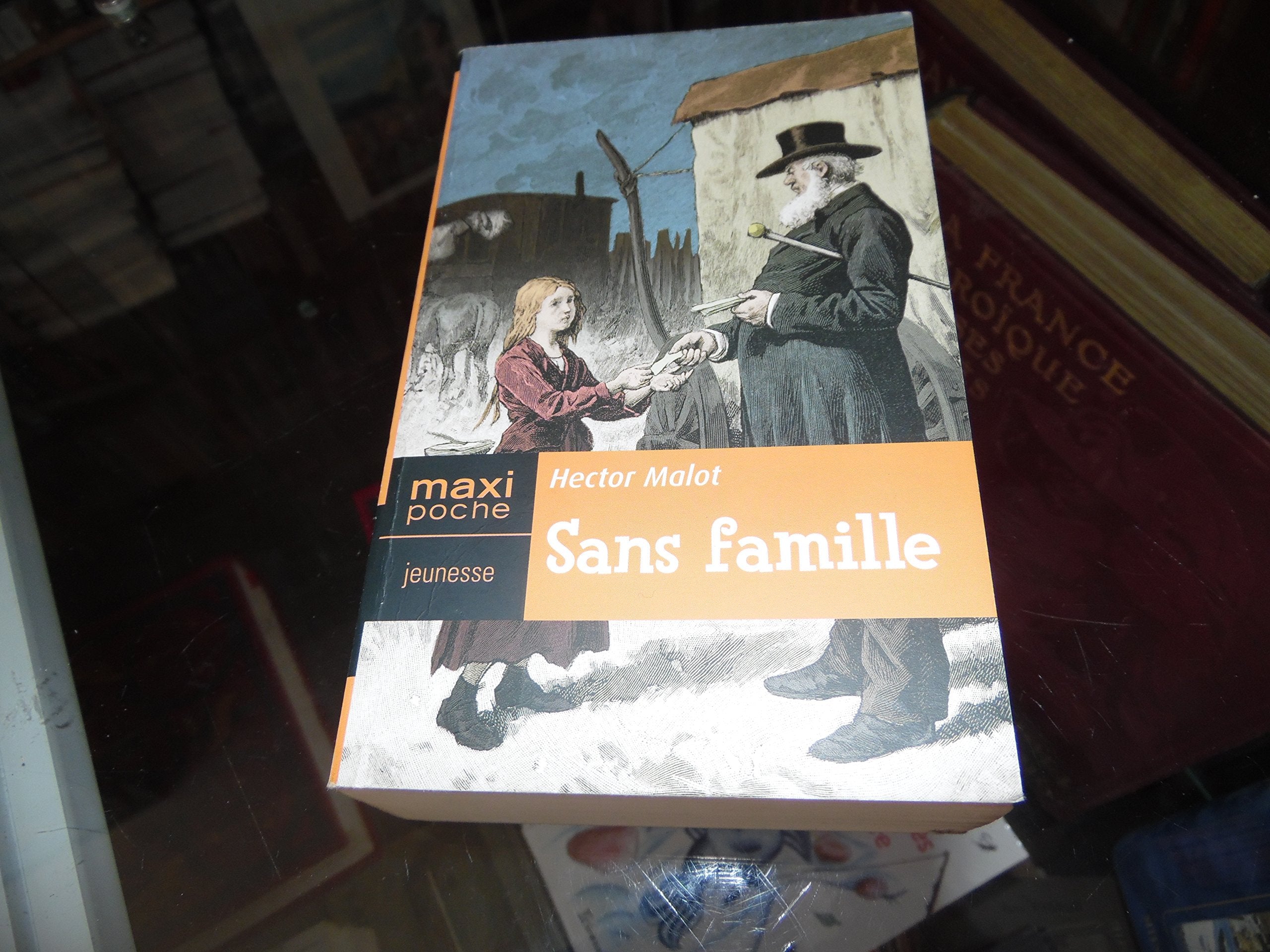 Sans Famille 9782743458911