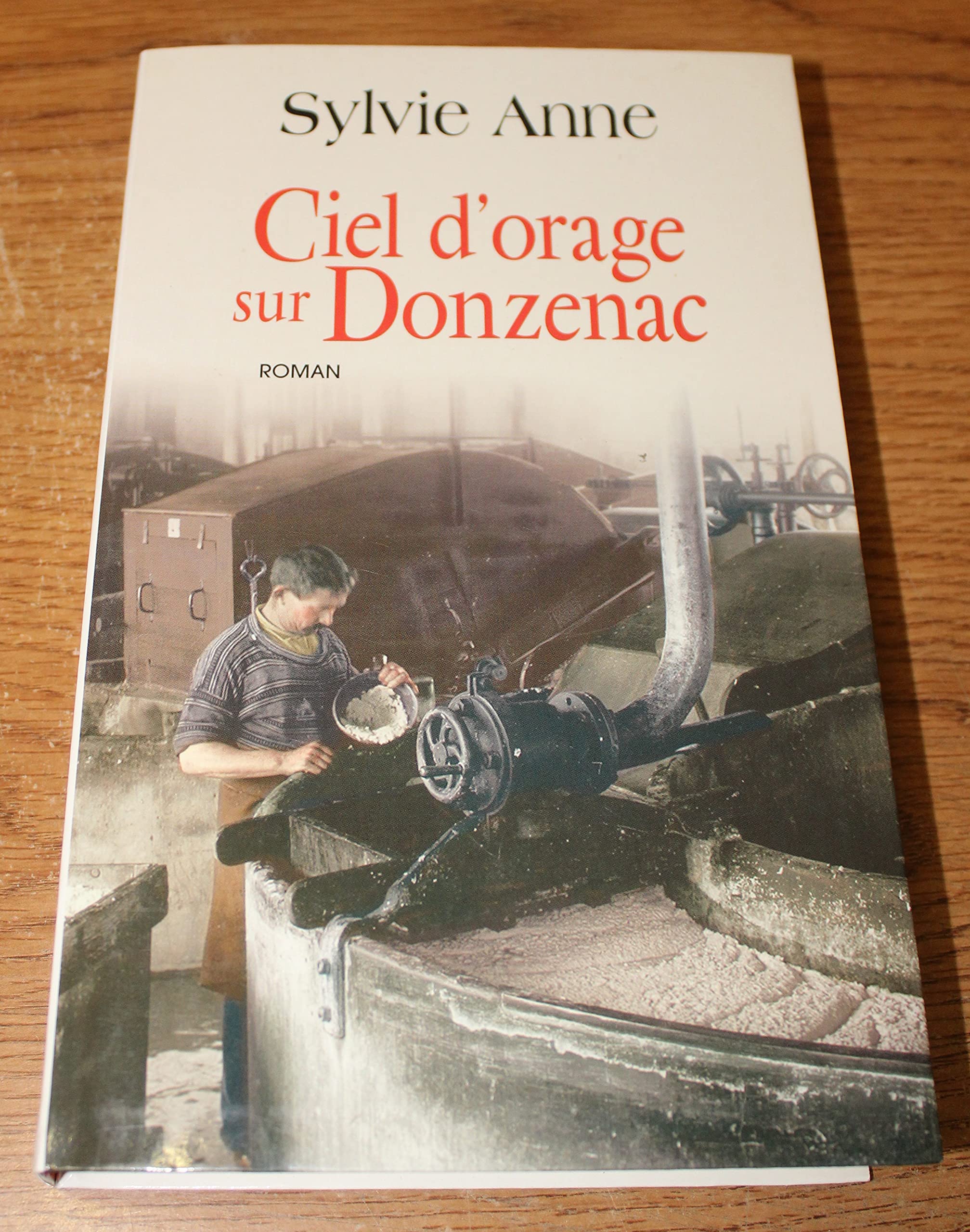 Ciel d'orage sur Donzenac 9782702849477