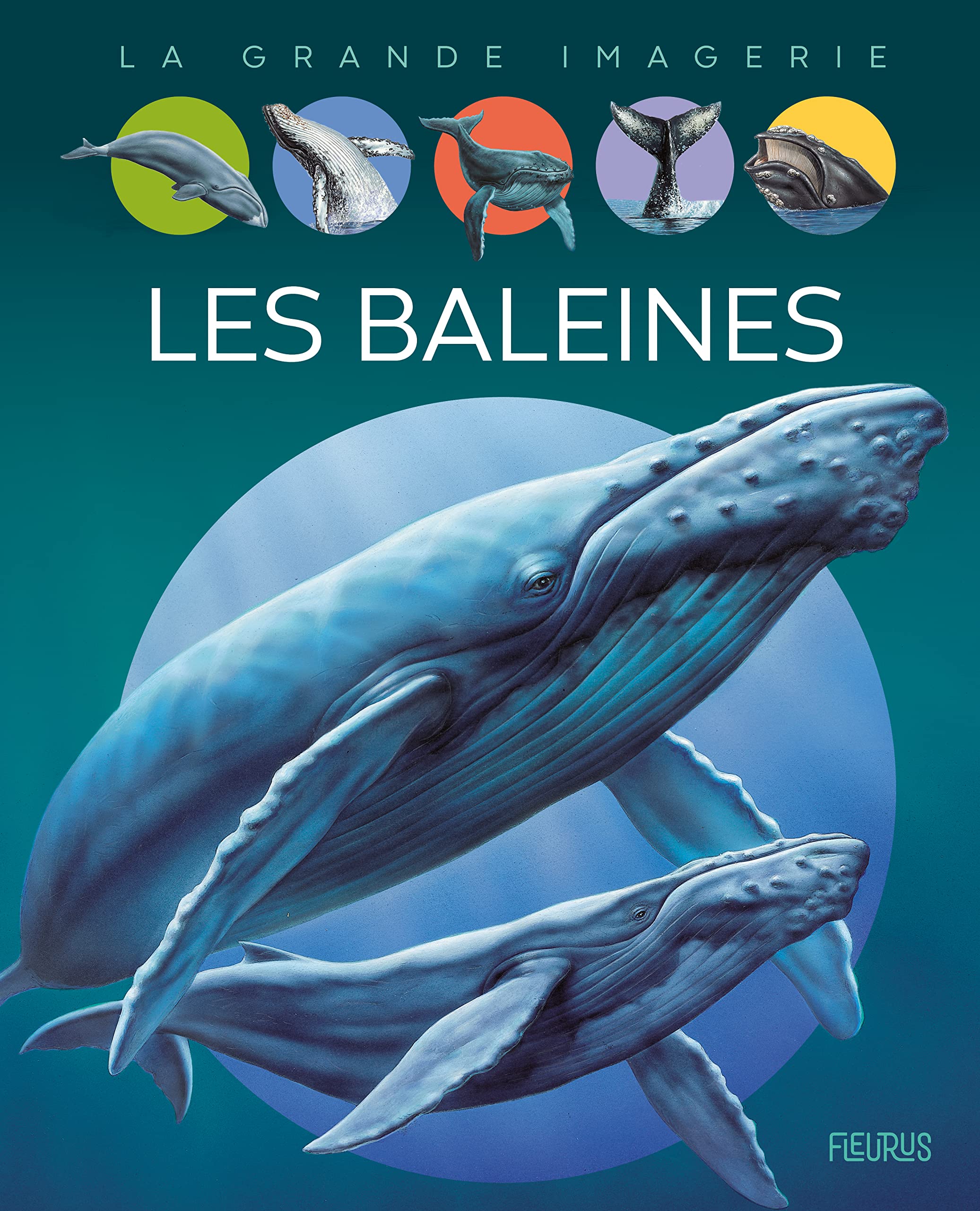 Les baleines 9782215159162