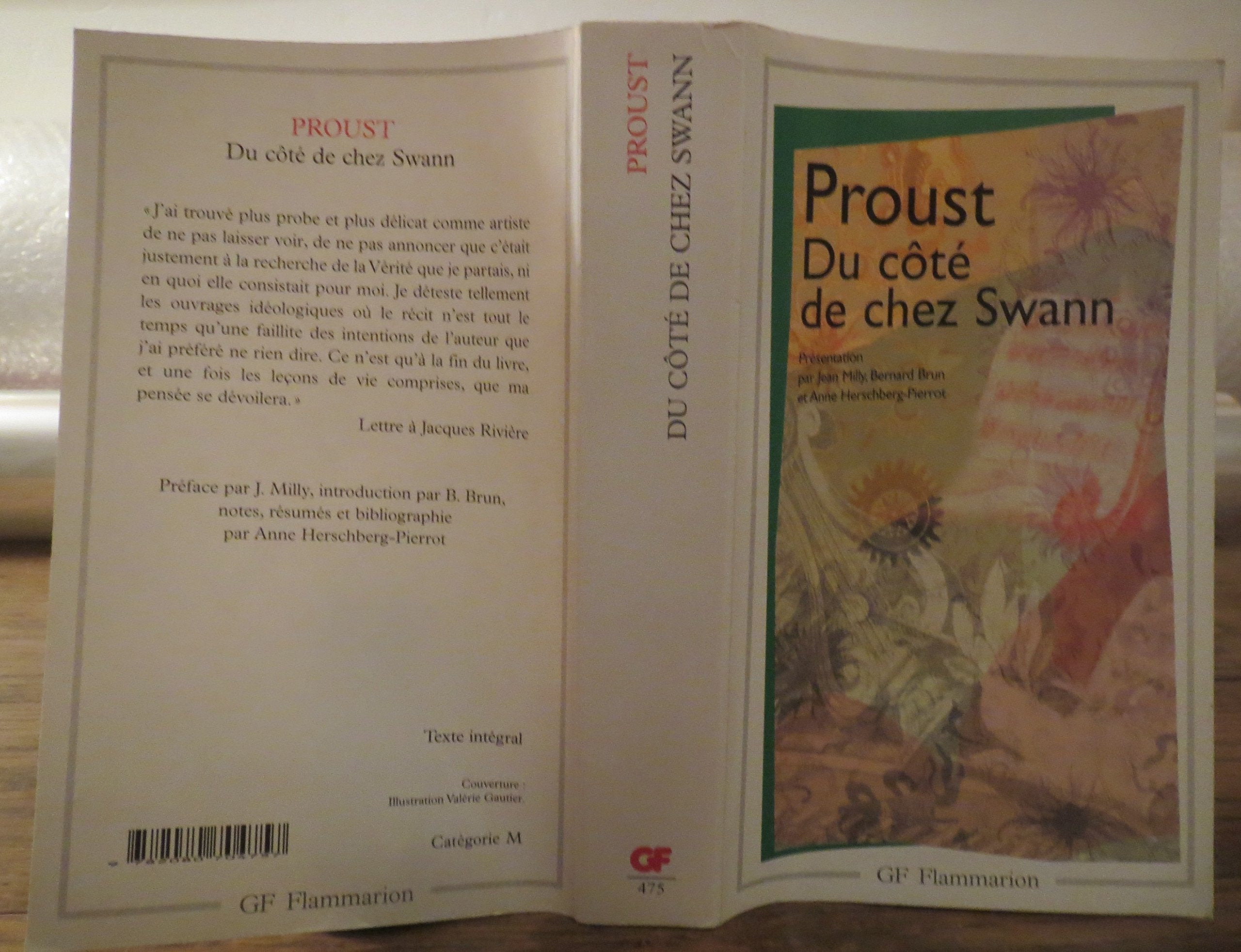 Du côté de chez Swann 9782080704757