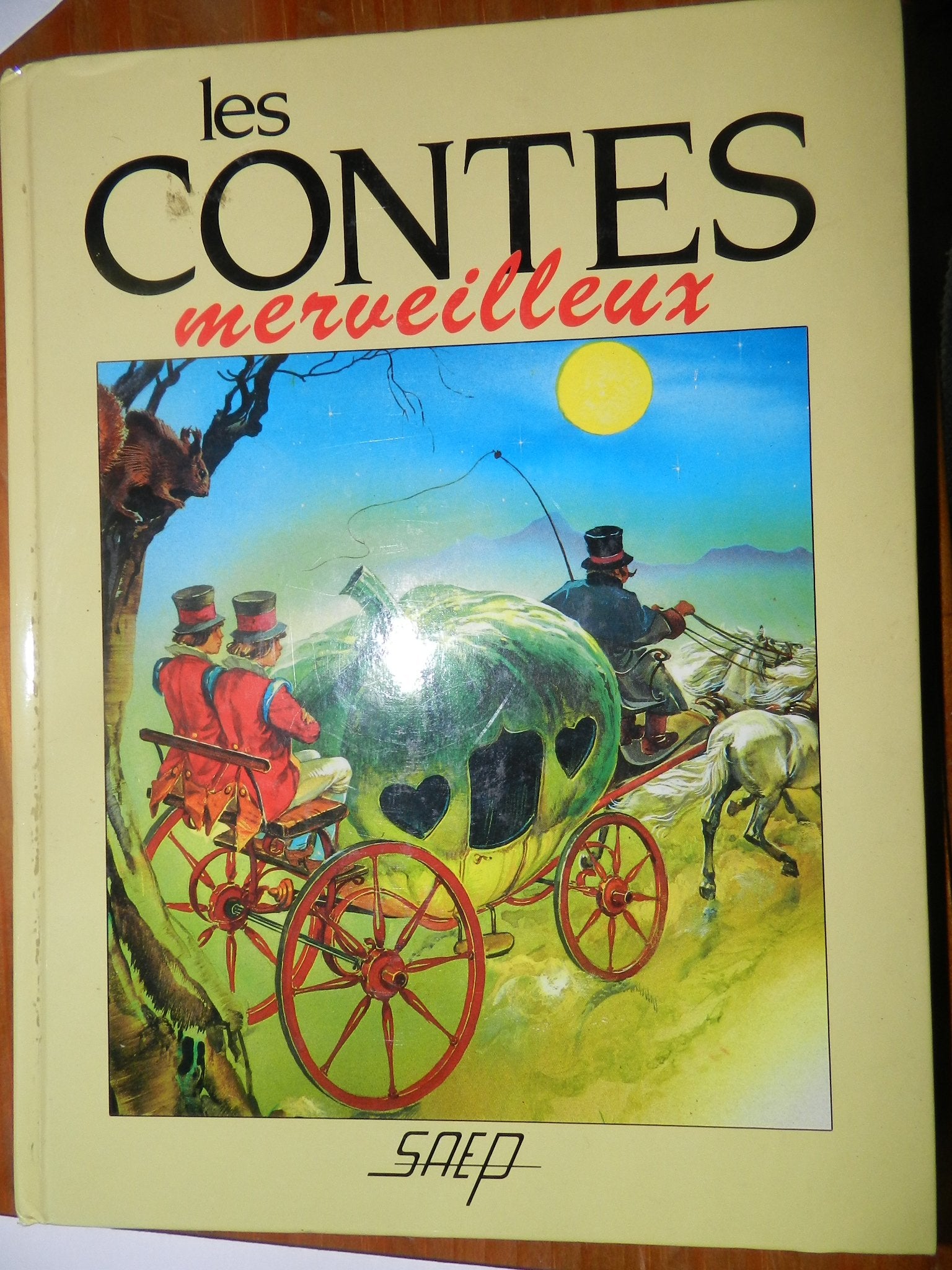 les contes merveilleux 9782737271311