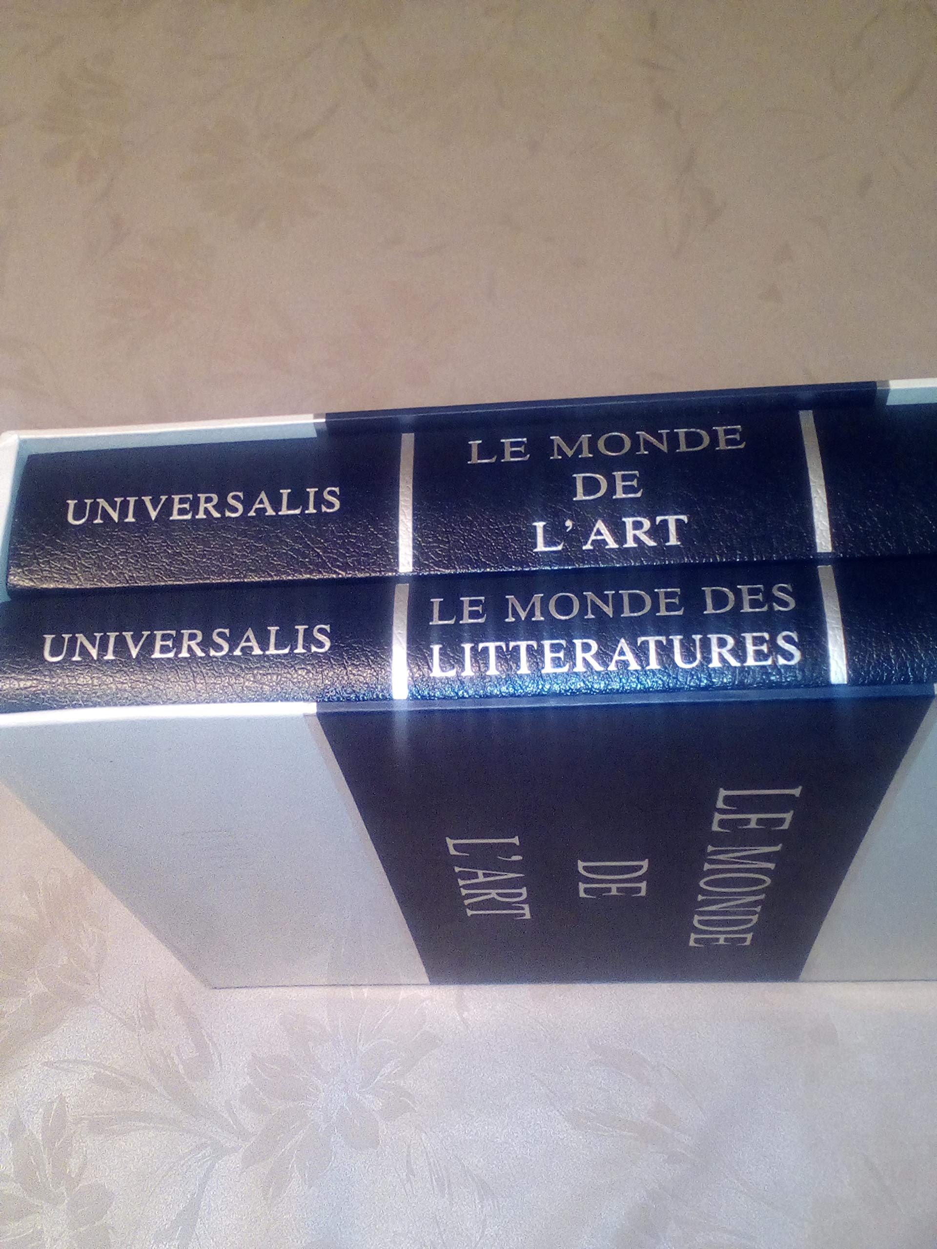 LE MONDE DE L'ART /LE MONDE DES LITTERATURES COFFRET EN 2 VOLUMES DE ENCYCLOPAEDIA UNIVRSALIS 9782852290013